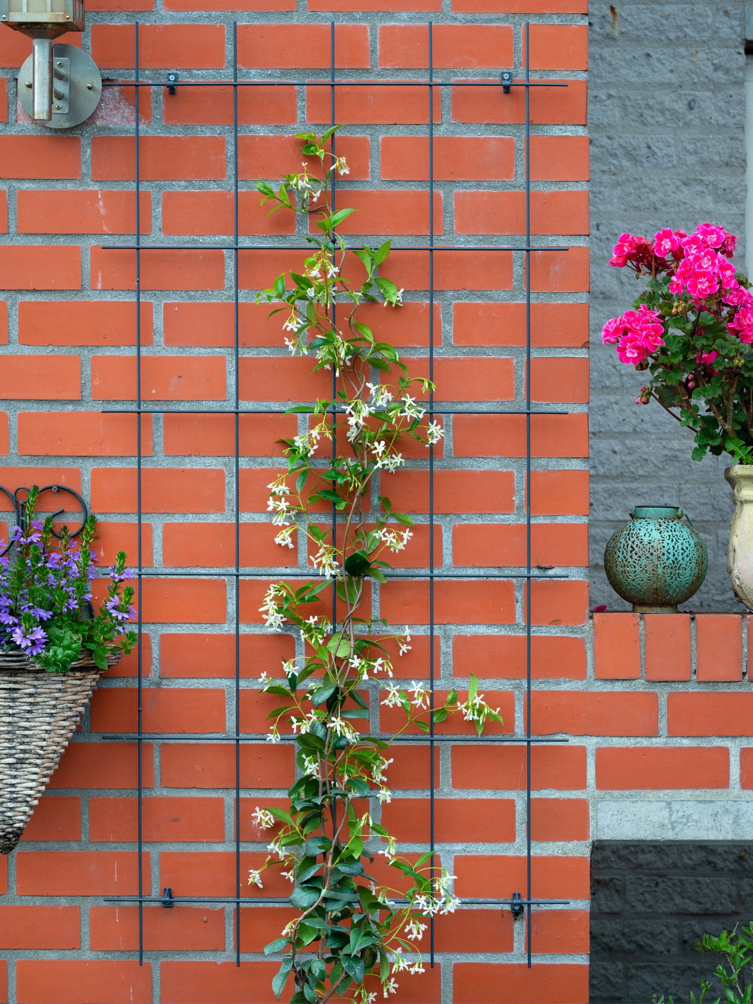 Klimrek metaal B75 H150cm groen