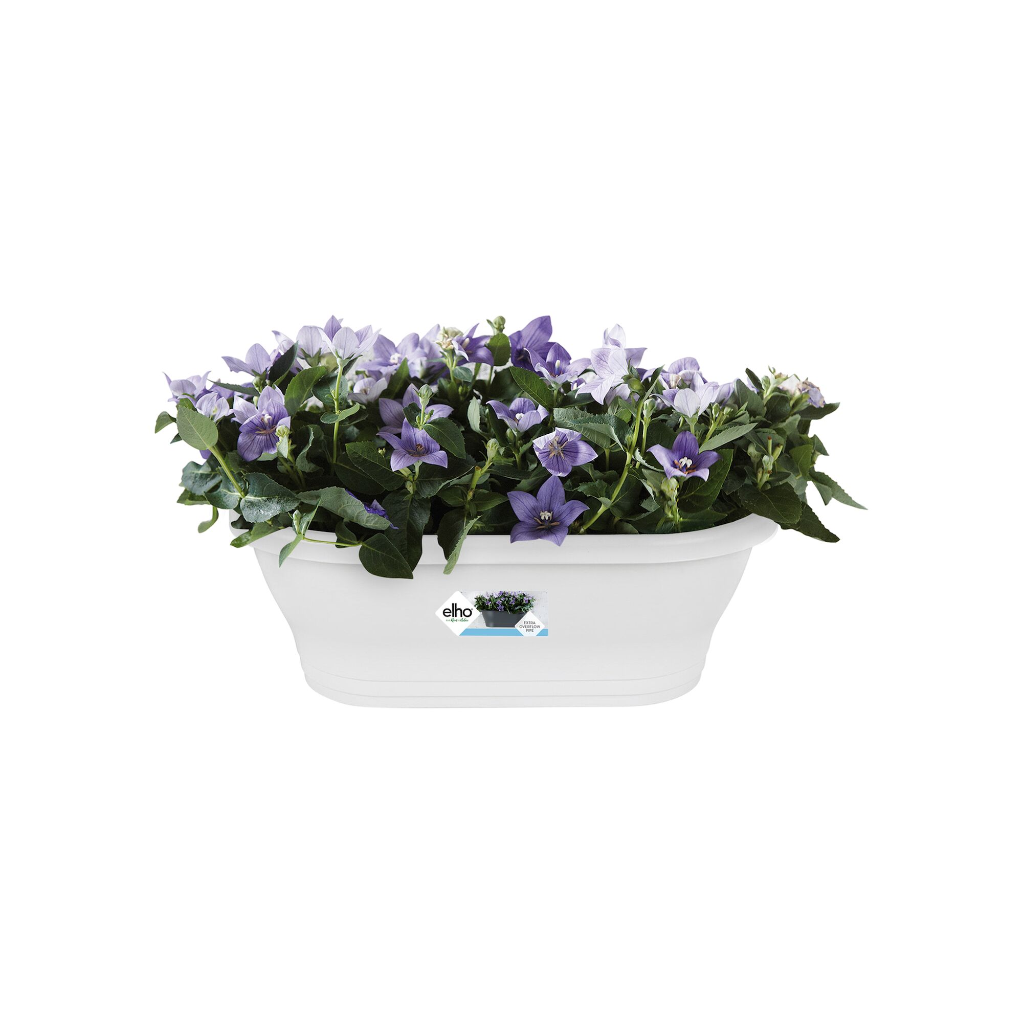 Corsica wandbak 39cm. wit