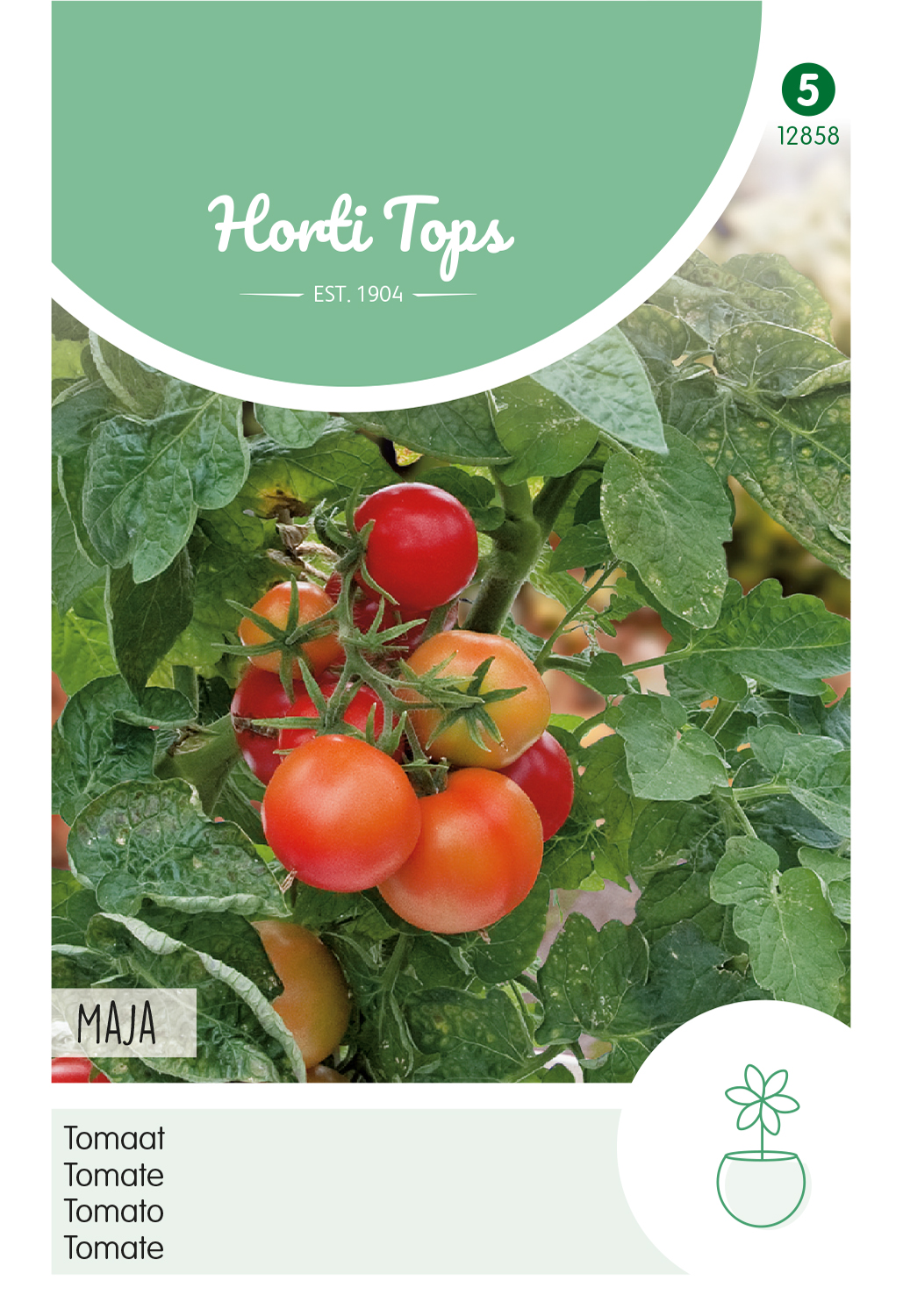 HT Tomaten Maja -Balkontomaat