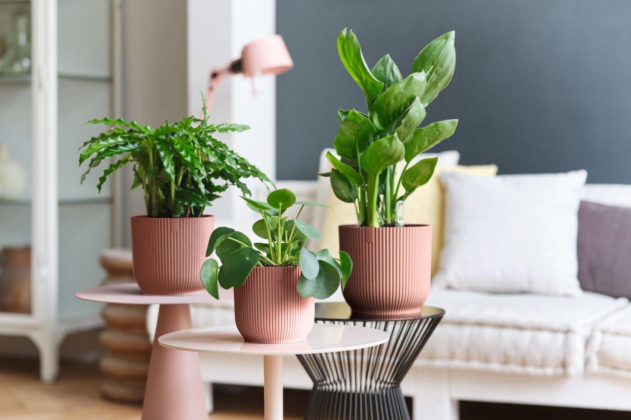 pot vibes fold d16cm delicate roze