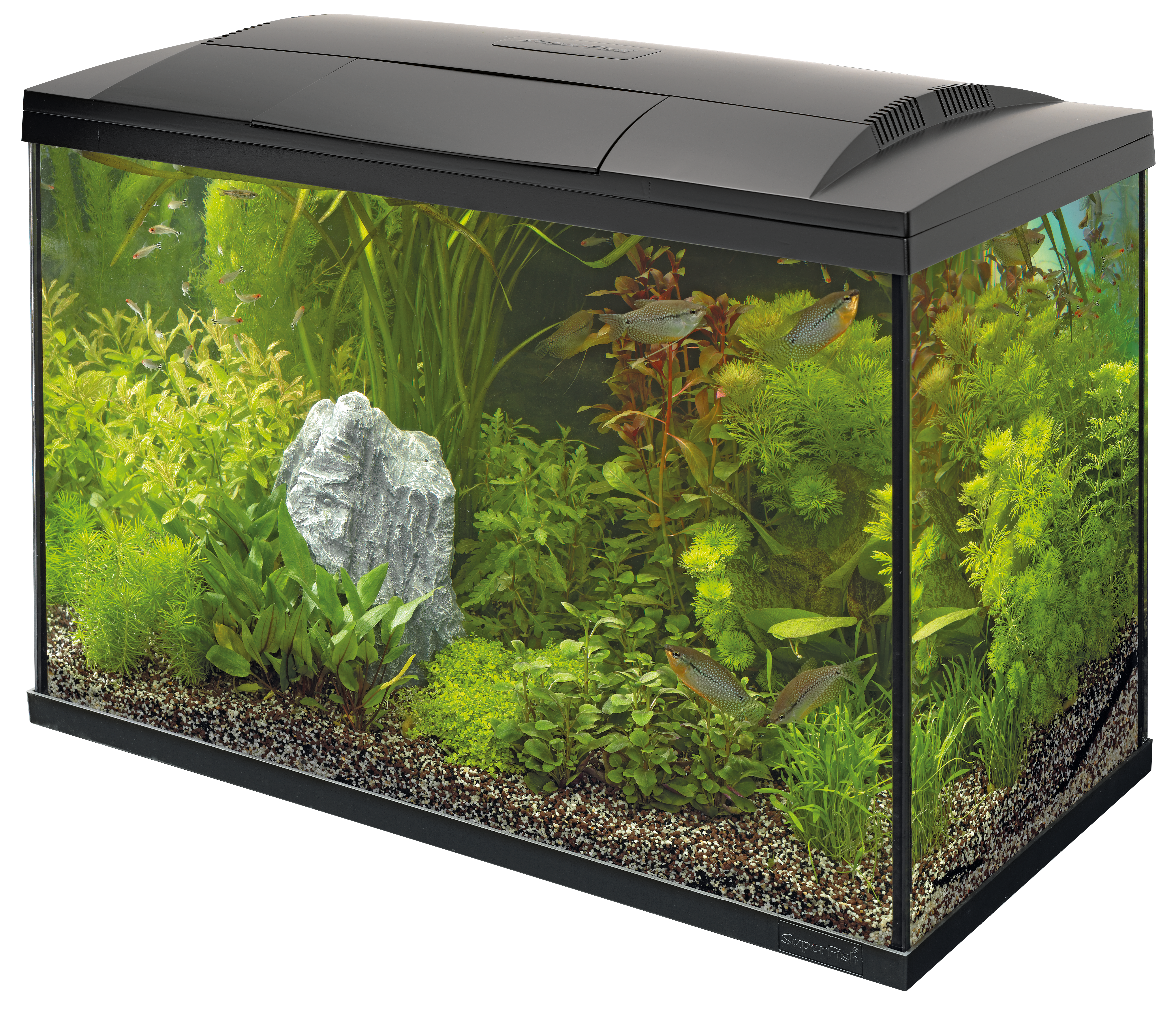 Start 150 tropical kit zwart