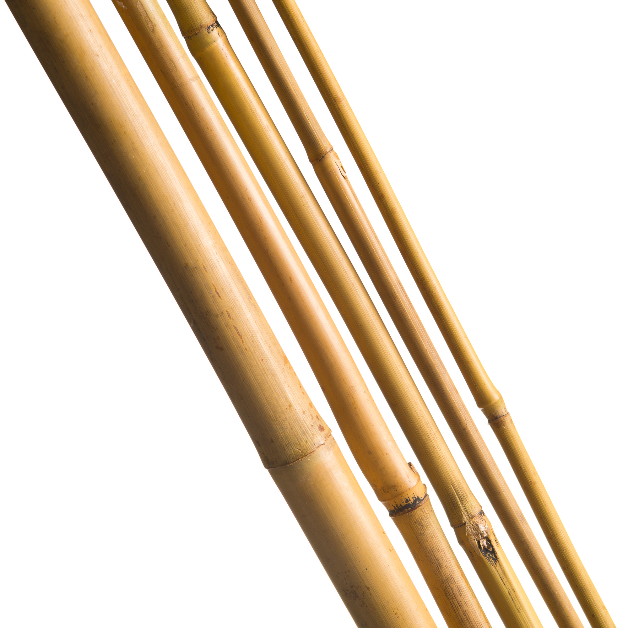 Bamboestok L210 D16-18mm 3st
