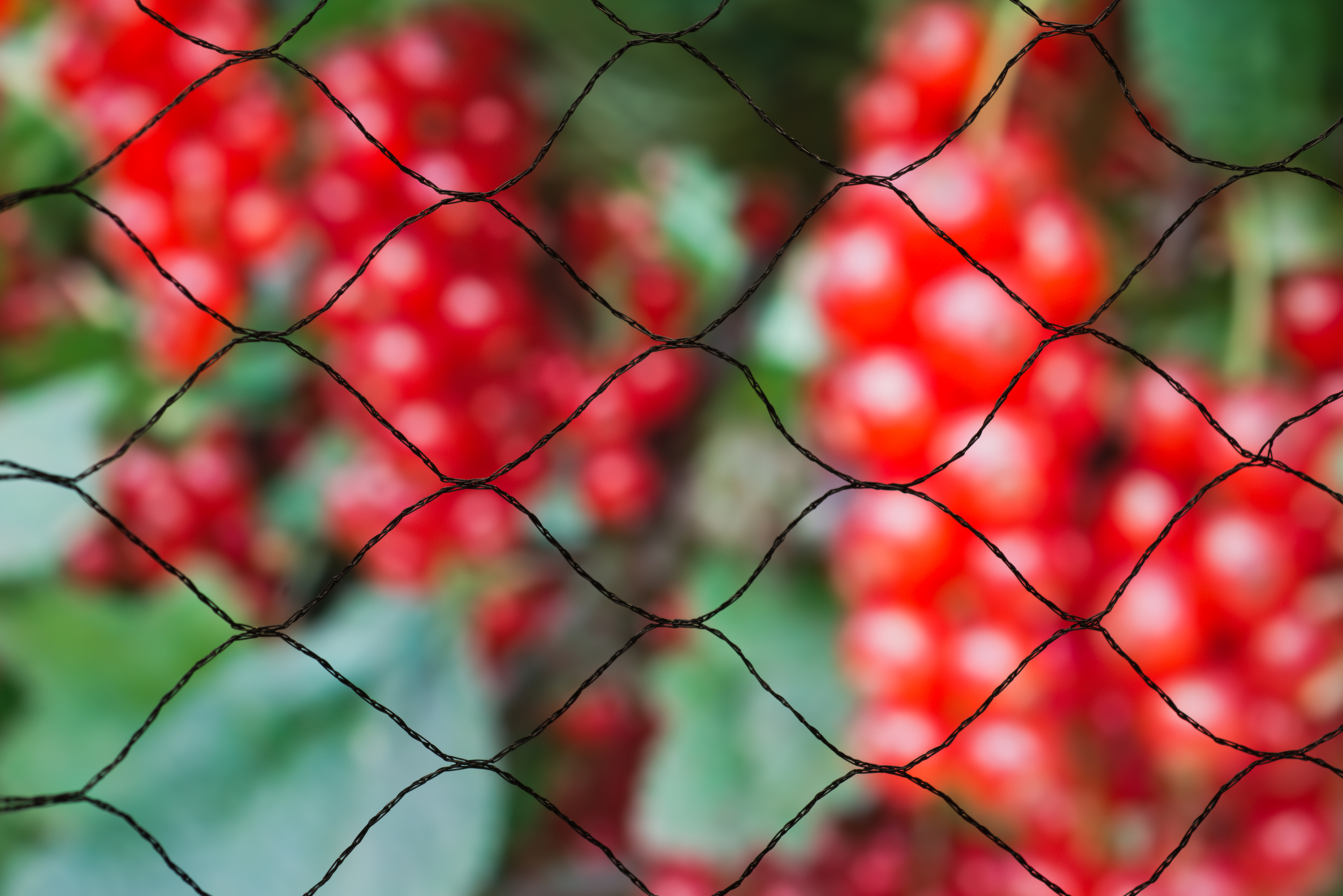 Tuinnet primo L10 B2m zwart