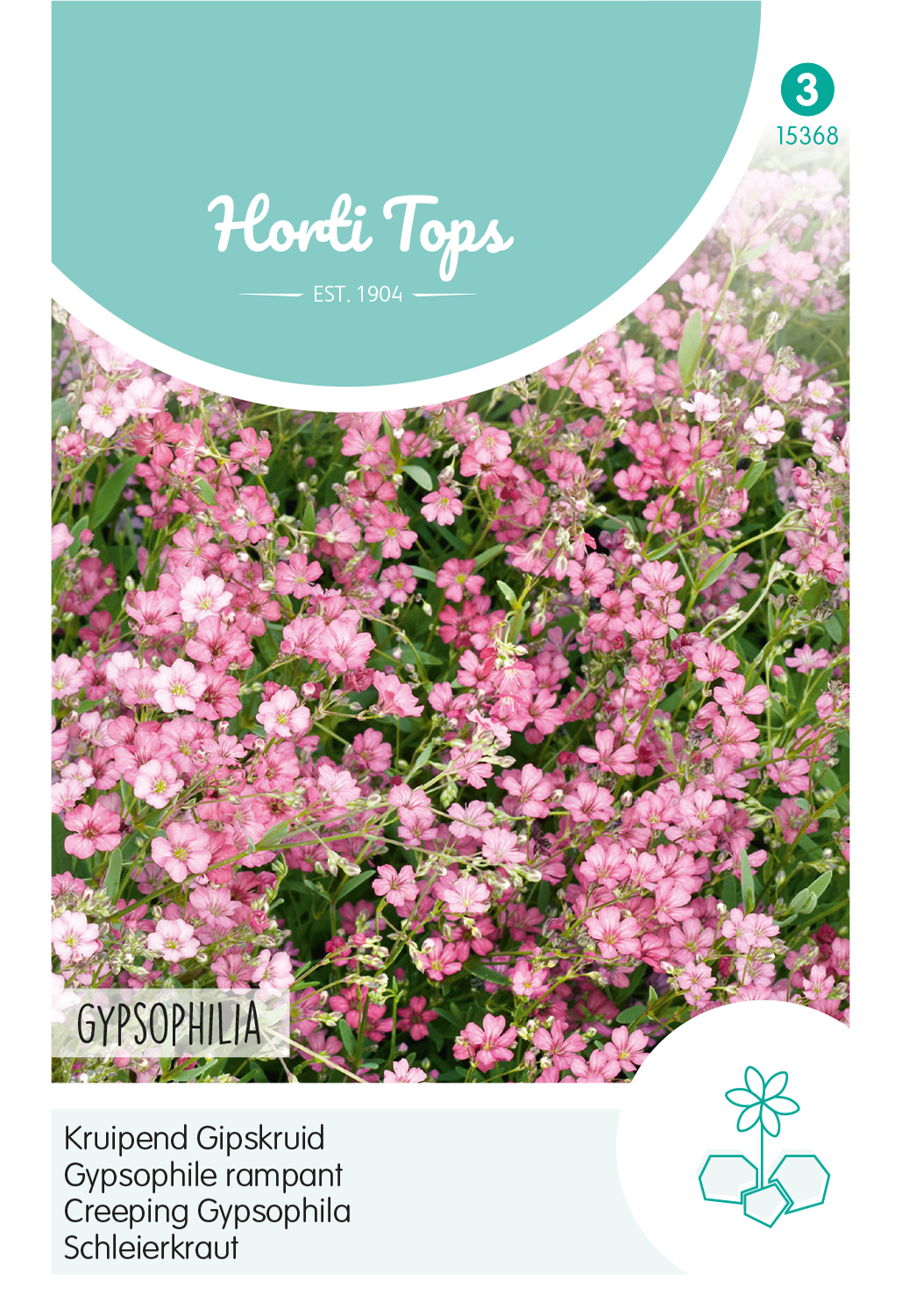 HT Gypsophila, kruipend Gipskruid rose