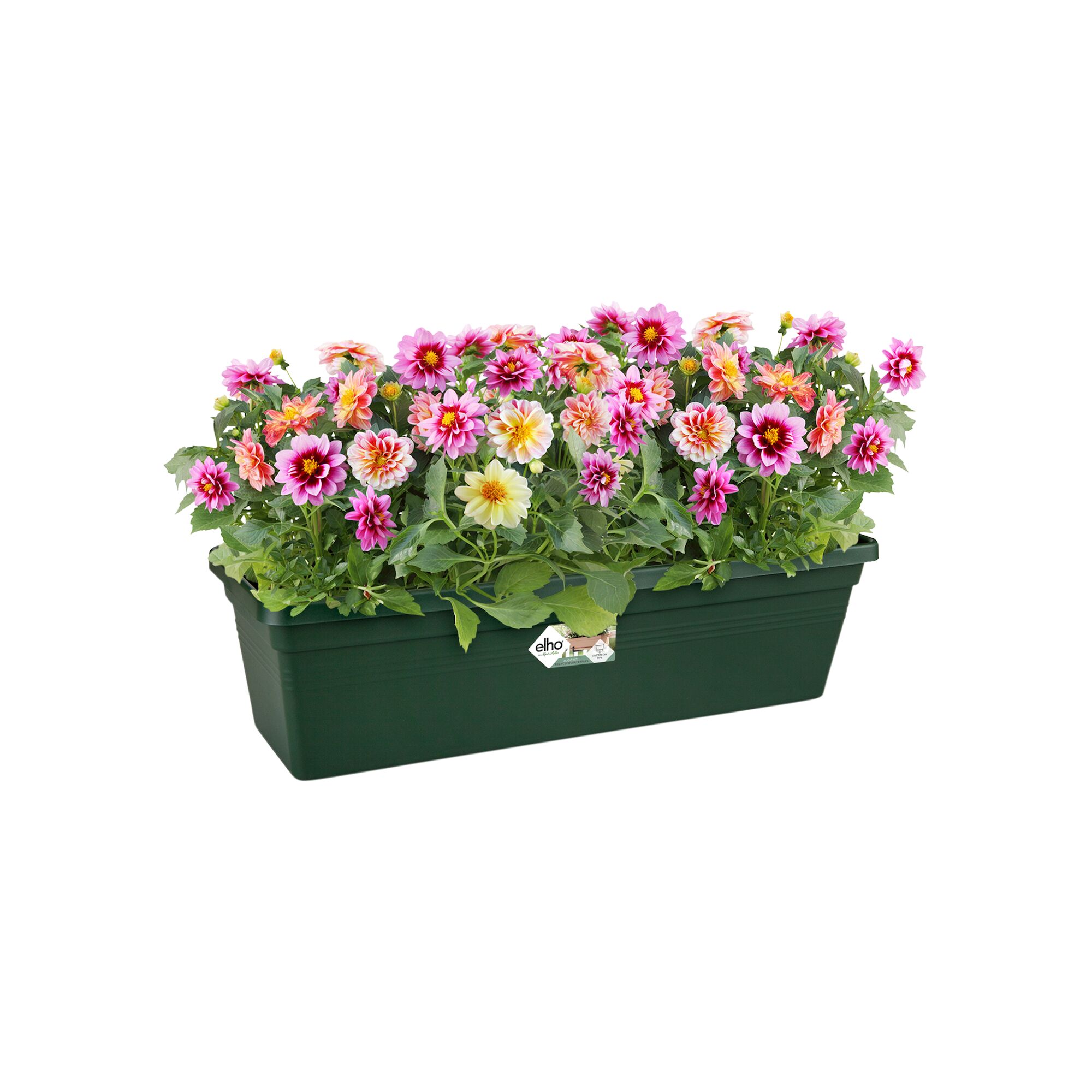 green basics balkonbak 40cm blad groen