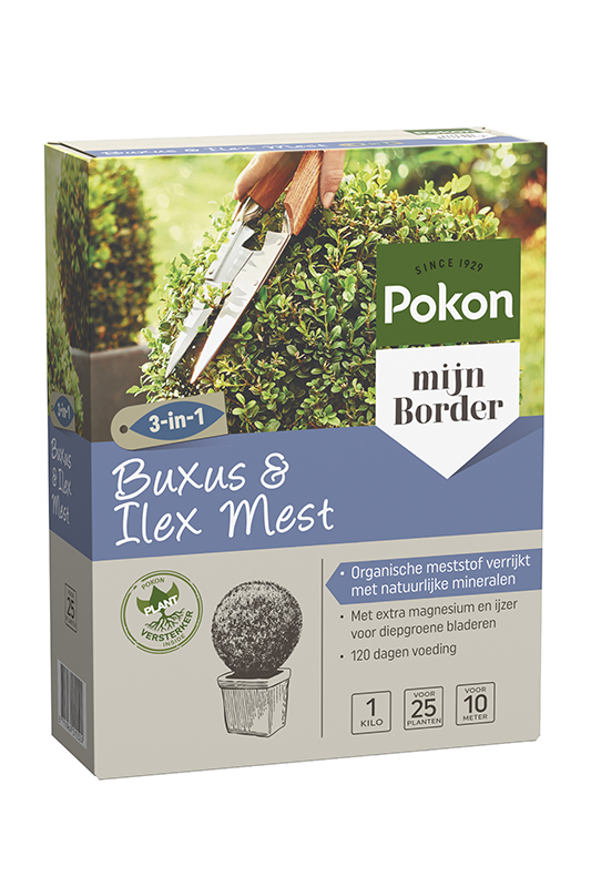 Buxus&ilex mest 1kg