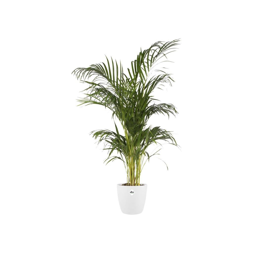 pot brussels d18cm wit