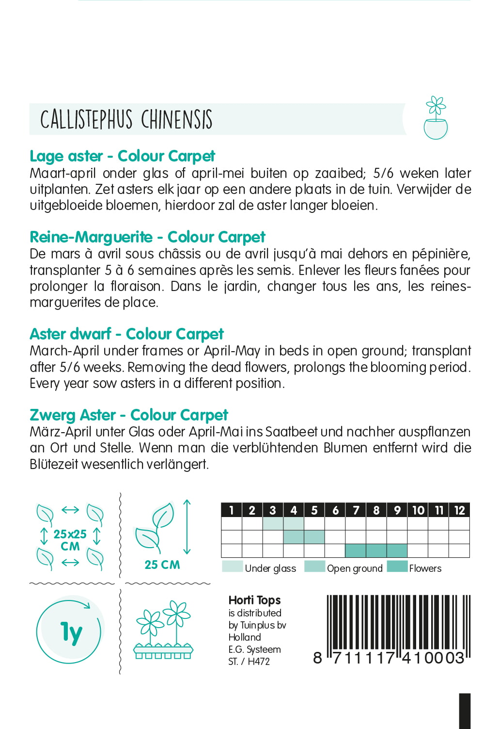 HT Callistephus, Dwerg-Aster Colour Carpet gemengd