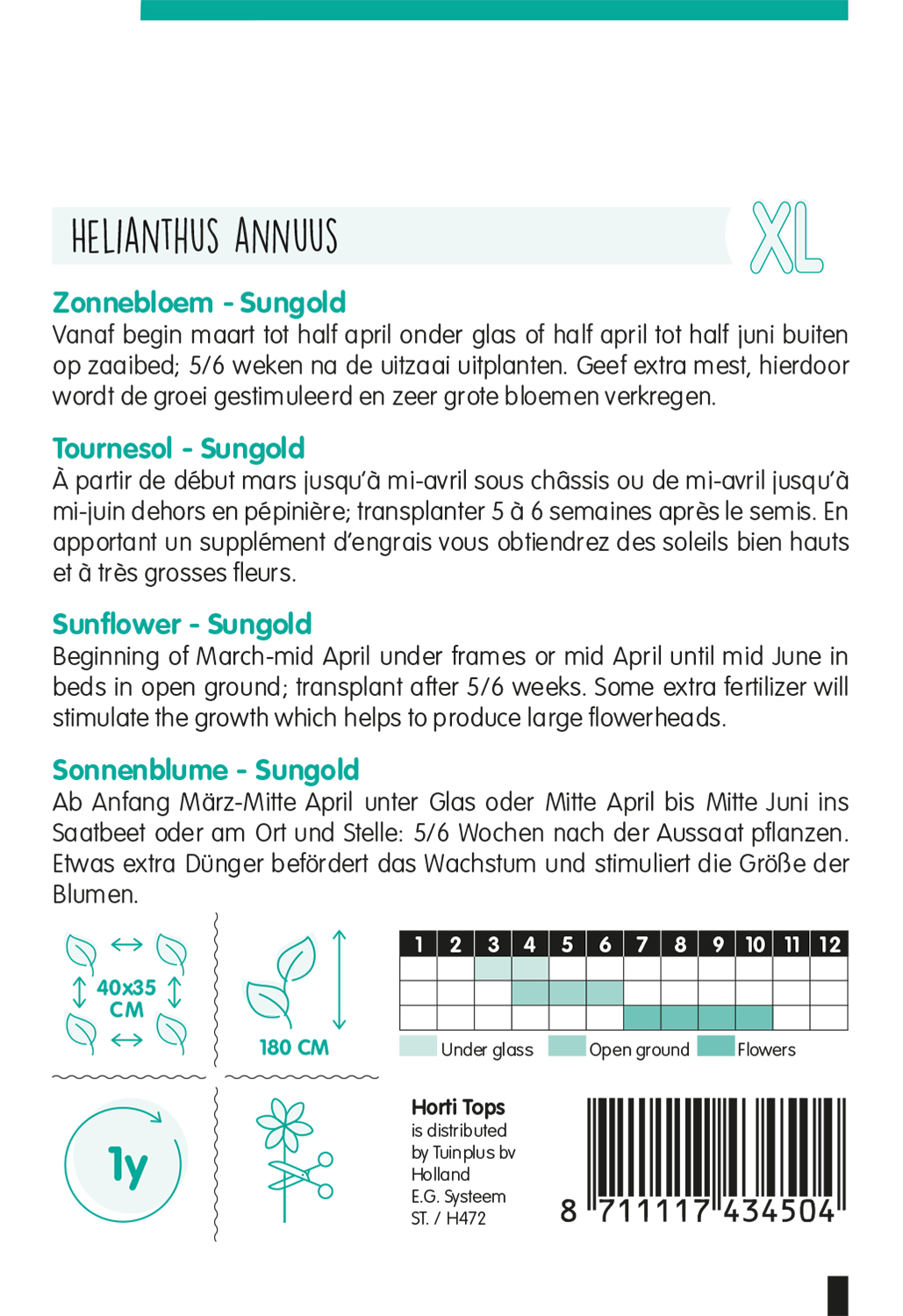 HT Helianthus, Zonnebloem Sungold dubbelbloemig hoog