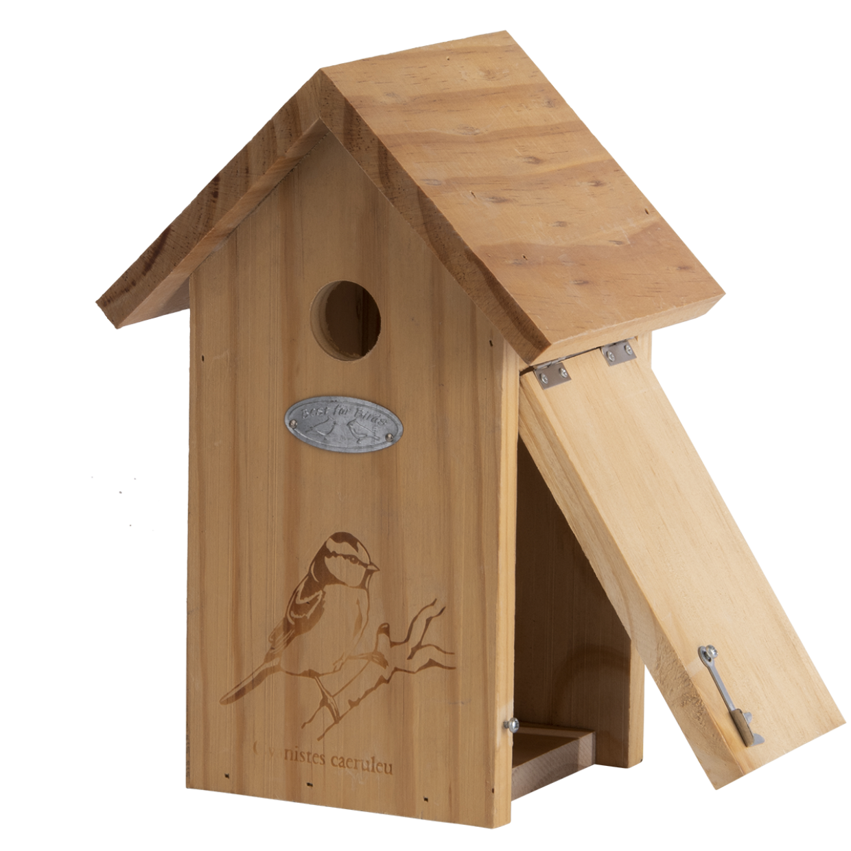 Nestkast pimpelmees silhouet