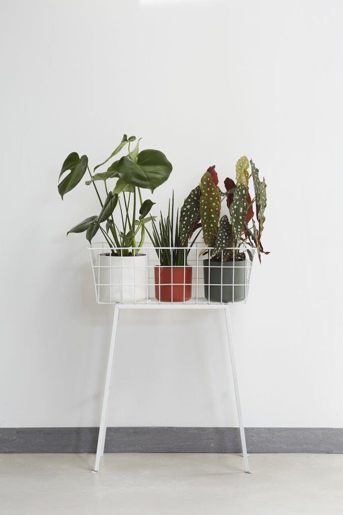 B.For Soft Rond groen D16 H15