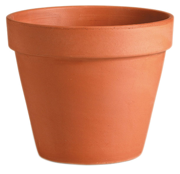 Vaso D7 H6