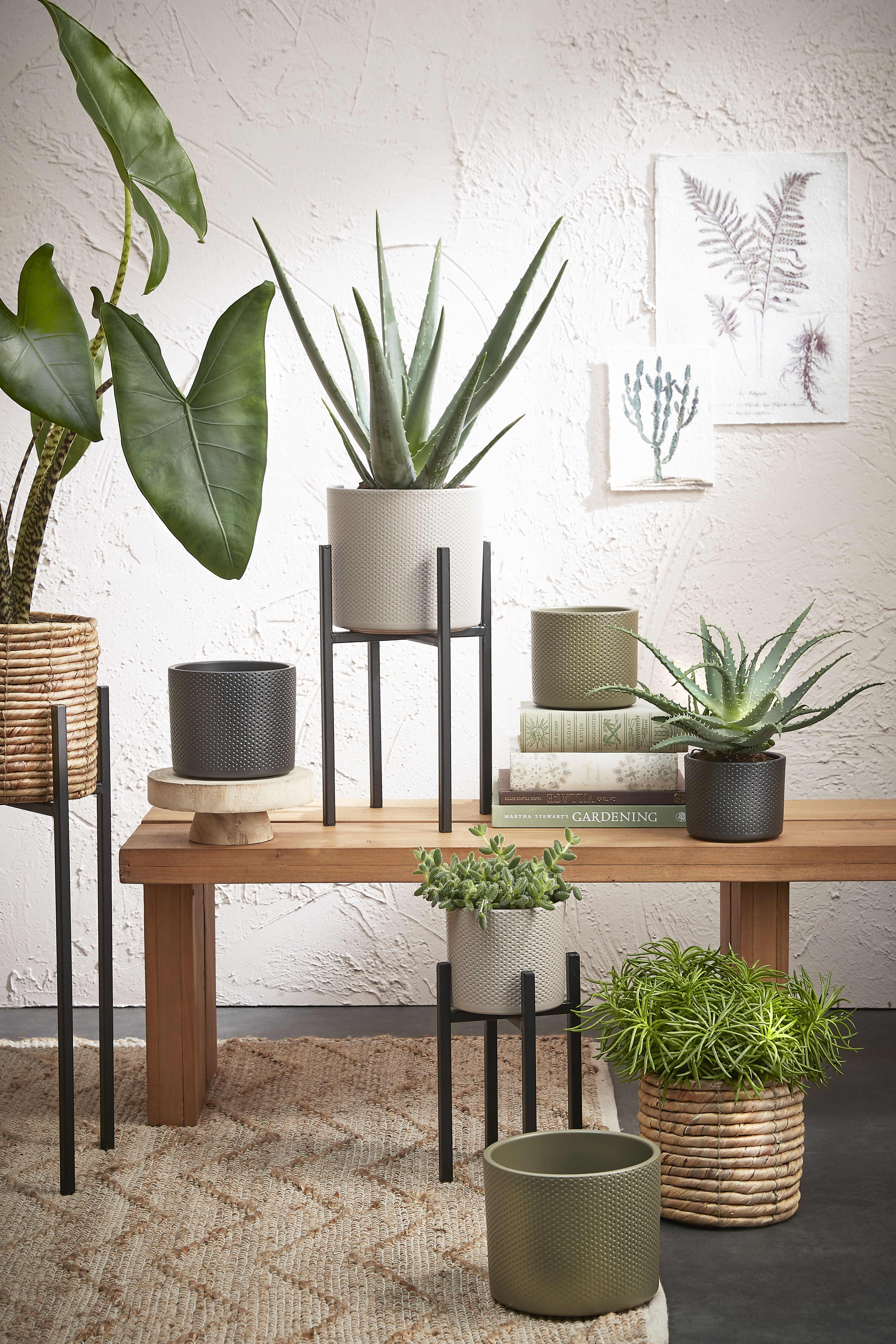 Ascot Plant standaard zwart L24 B24 H55