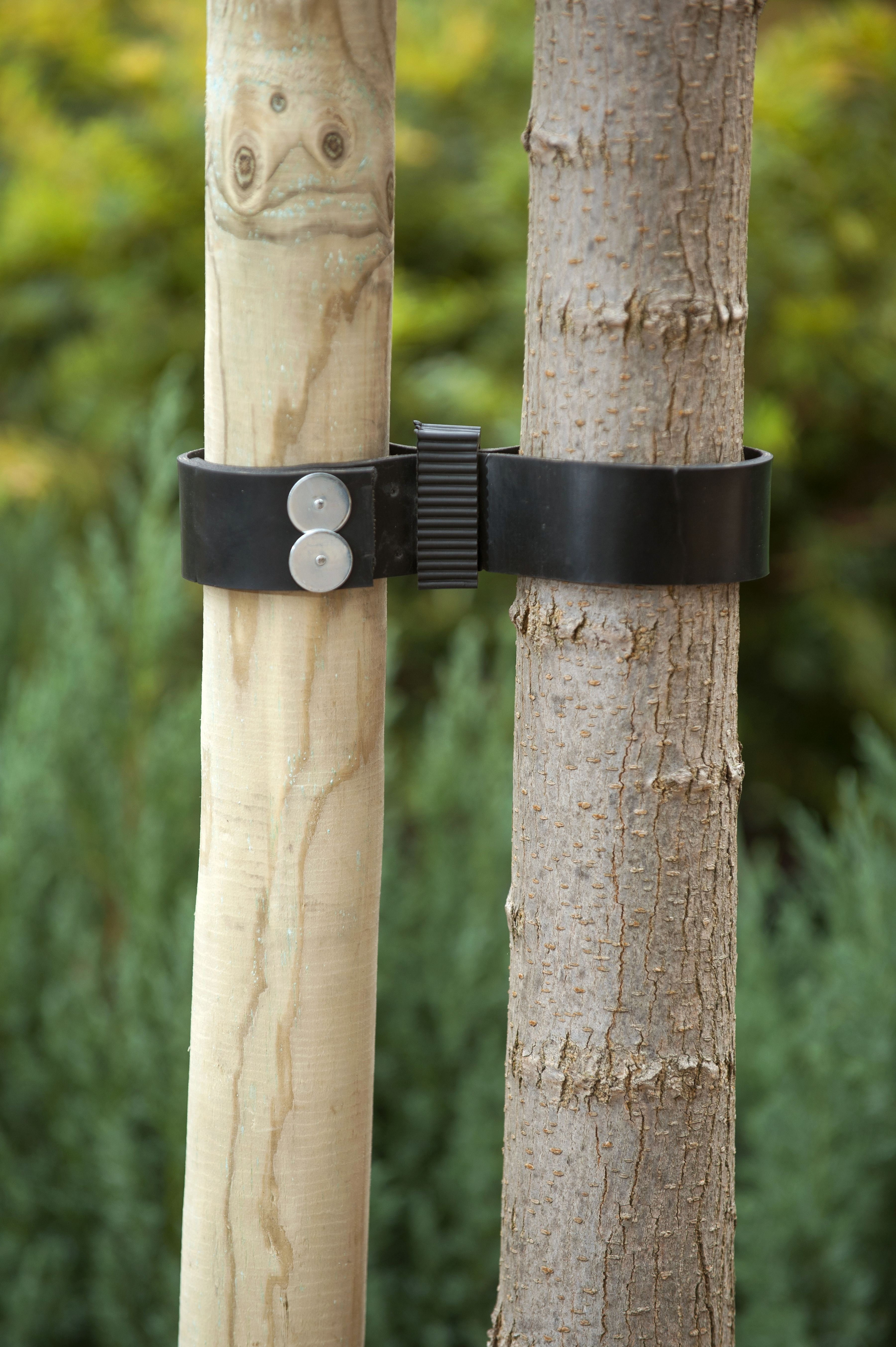 Boomband rubber/canv. L60 B3.8cm 2st