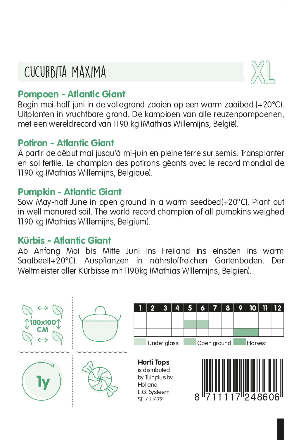HT Pompoenen Atlantic Giant