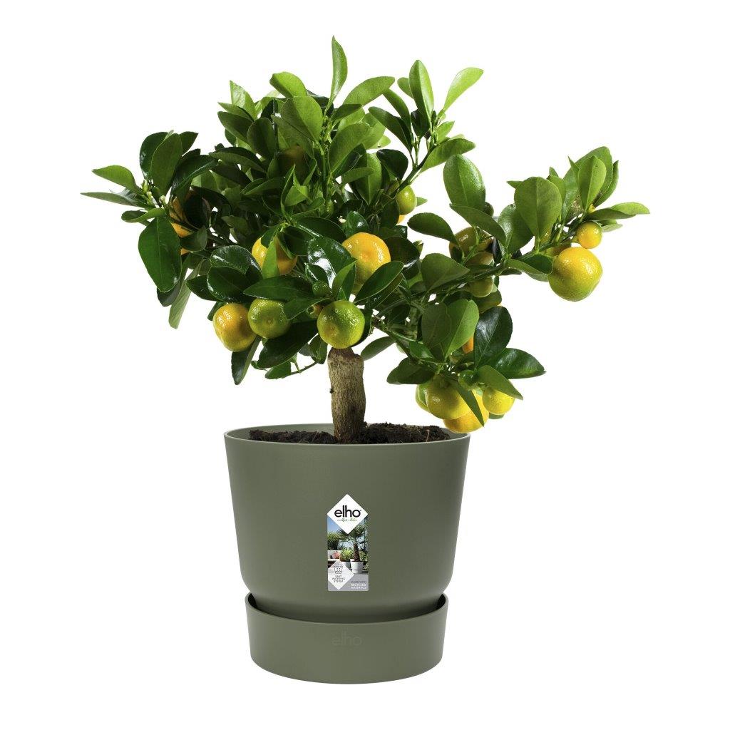 pot greenville d30cm bladgroen