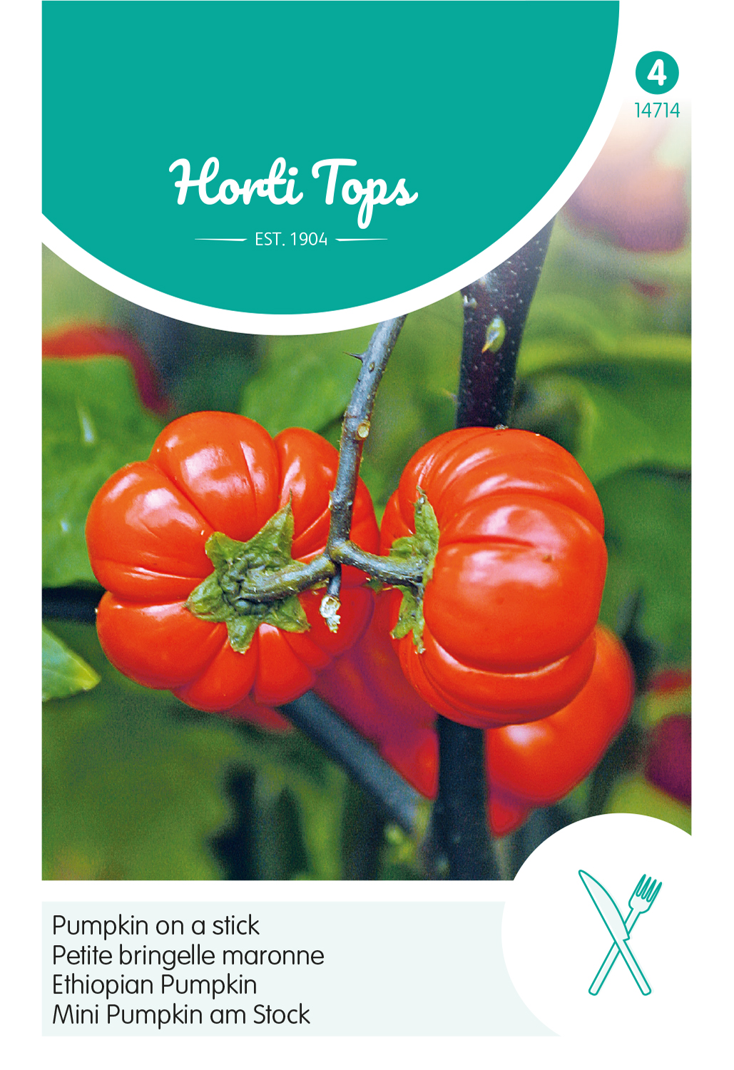 HT Solanum, Pumpkin on a stick