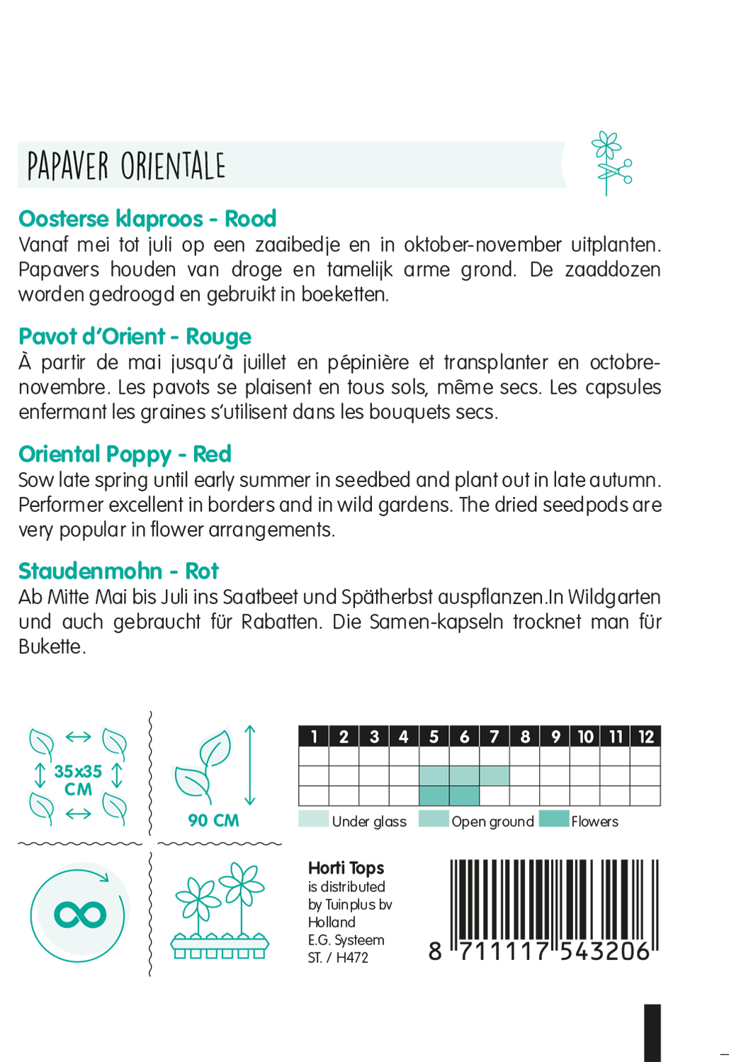 HT Papaver Orientale, Oosterse klaproos rood