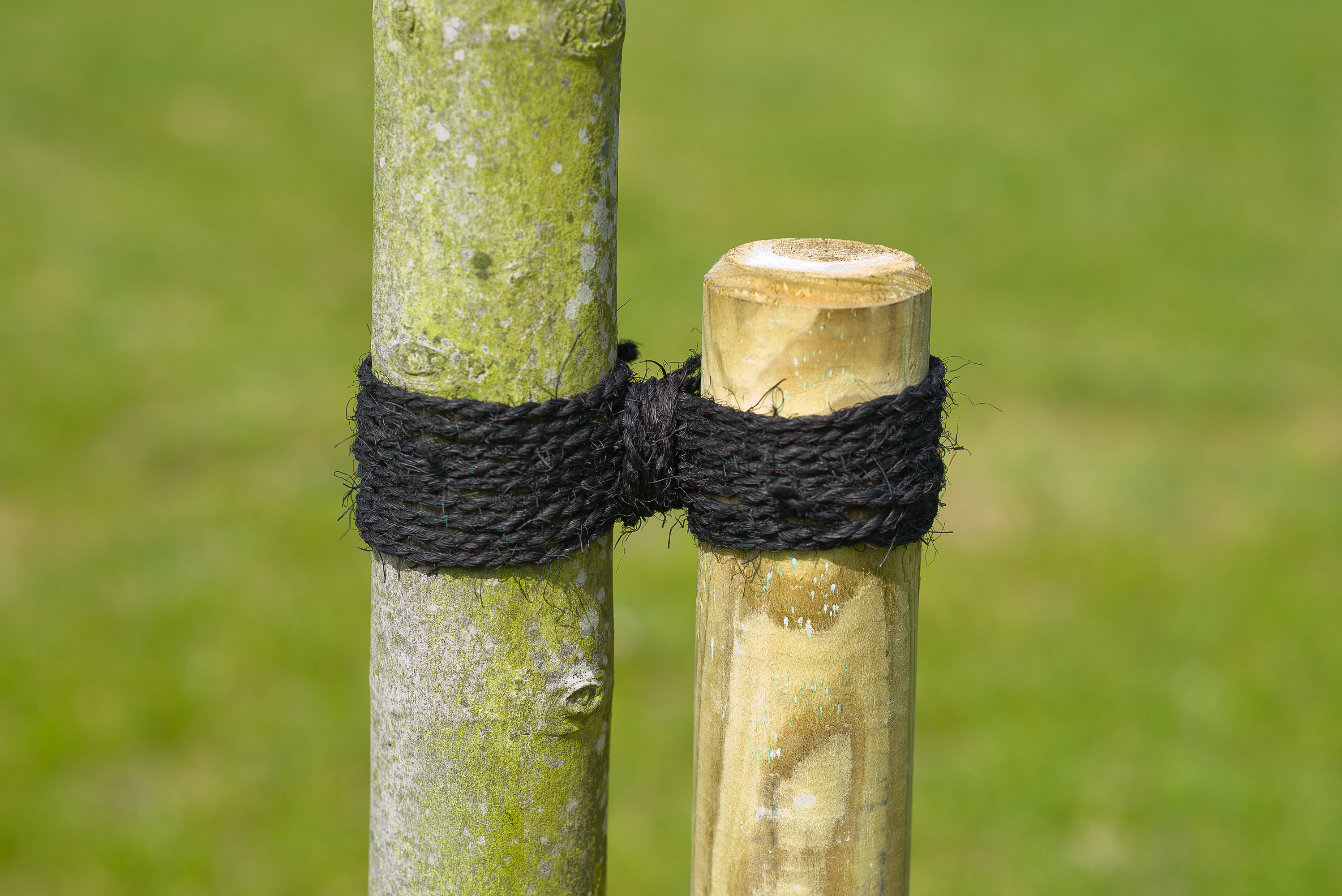 Kokostouw zwart Ø3.5mmx50m