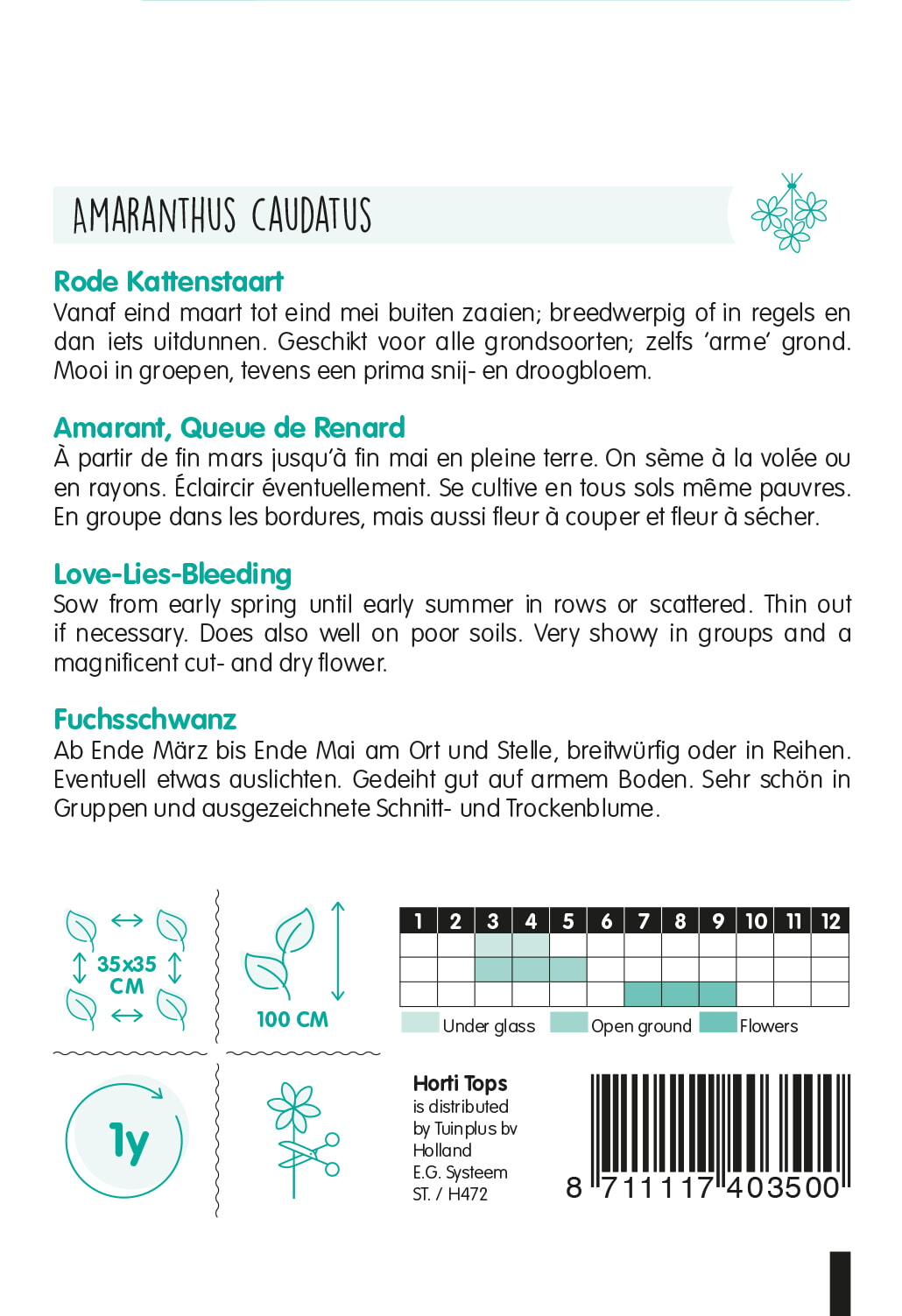 HT Amaranthus, Rode Kattenstaart