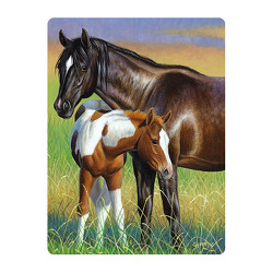 livelife ansichtkaarten -  mare & foal