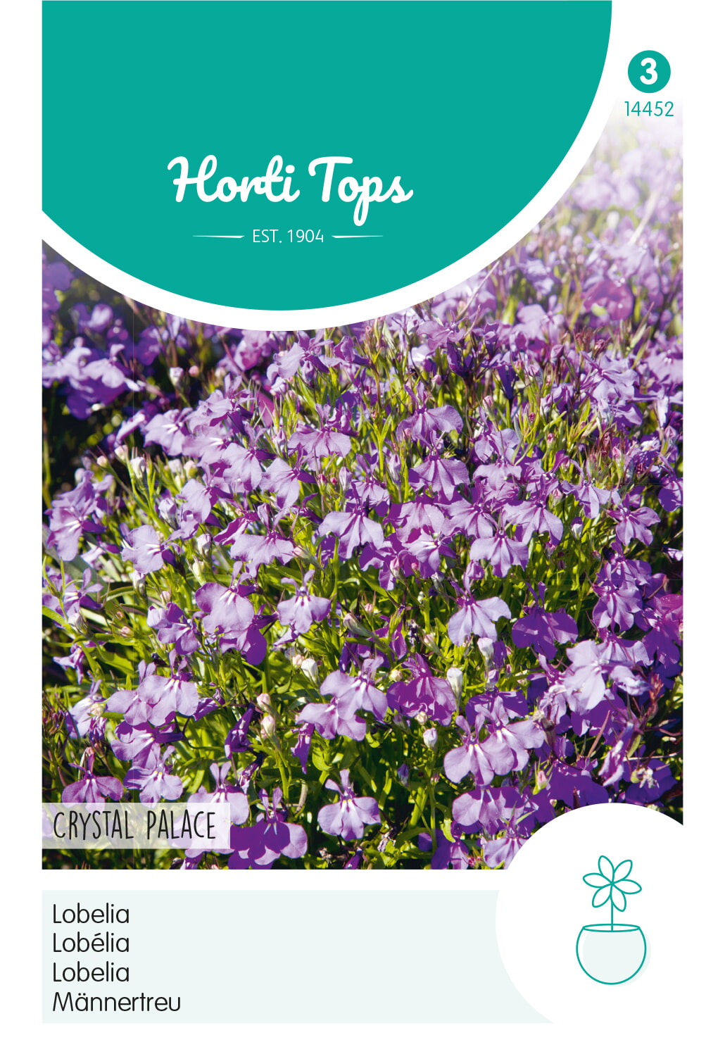 HT Lobelia Crystal Palace