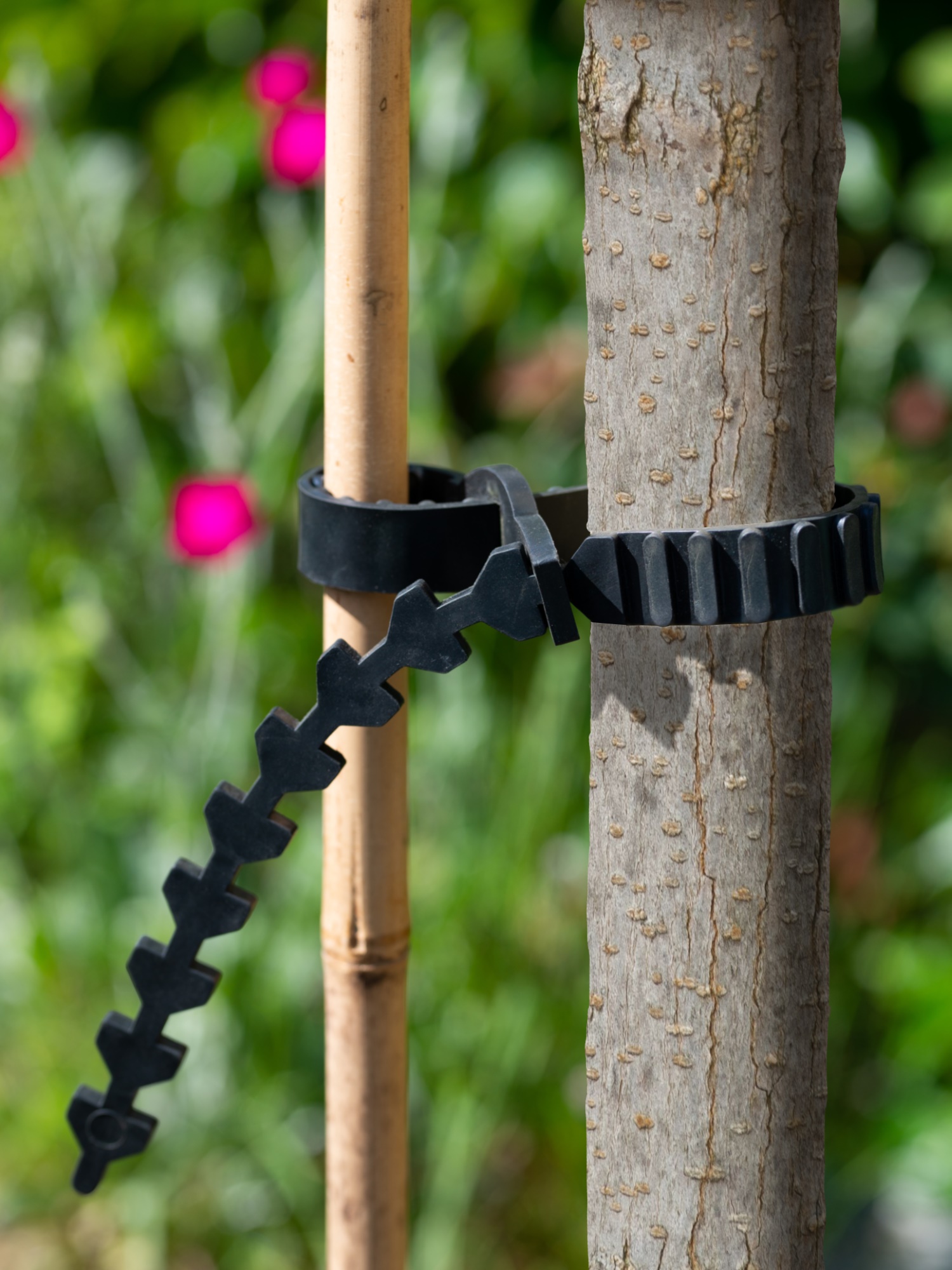 Boomband rattenstaartsl. L90cm
