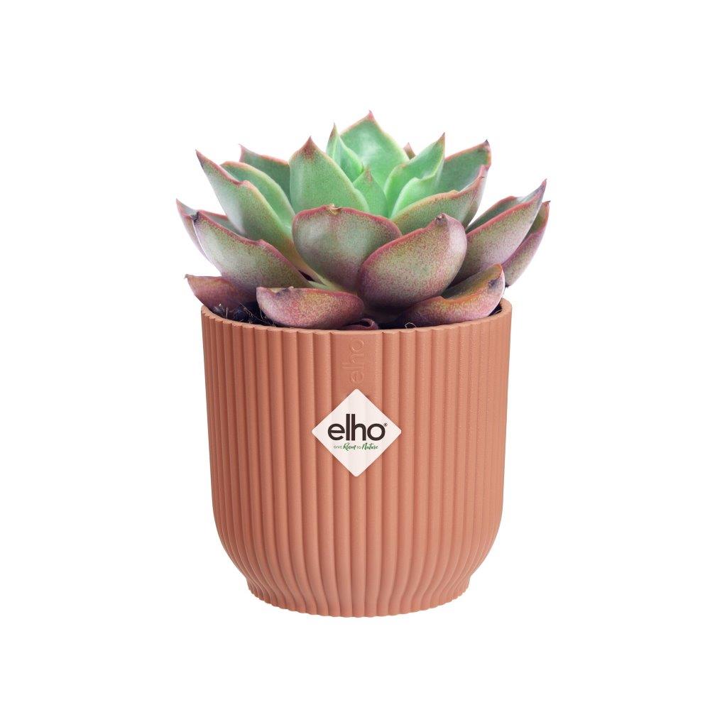 pot vibes fold d7cm delicaatroze