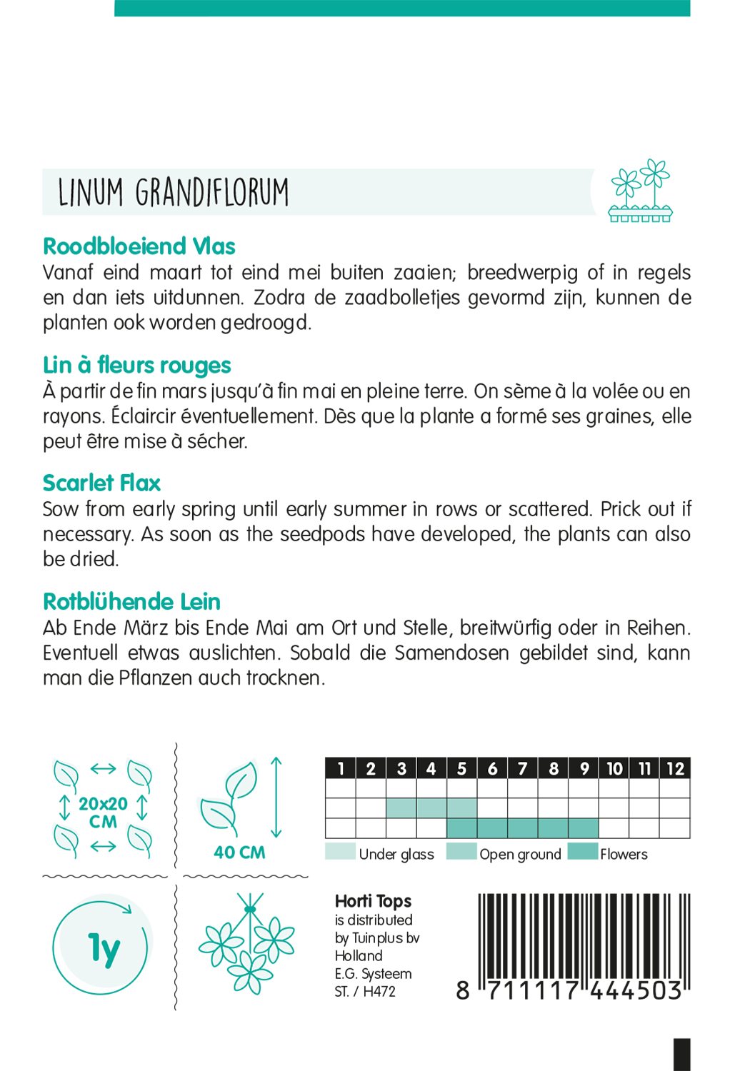 HT Linum, roodbloeiend Vlas