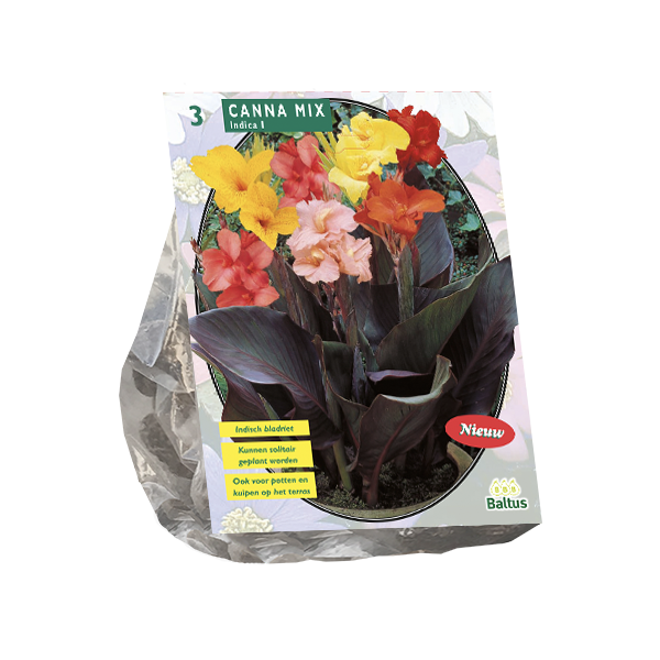 Canna Gemengd per 3