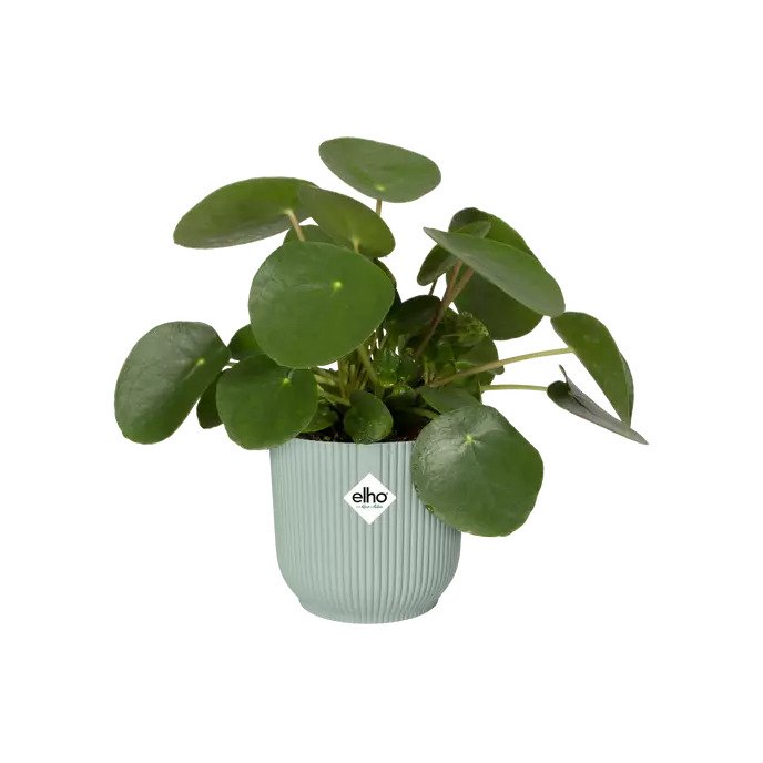 pot vibes fold d7cm sorbet groen