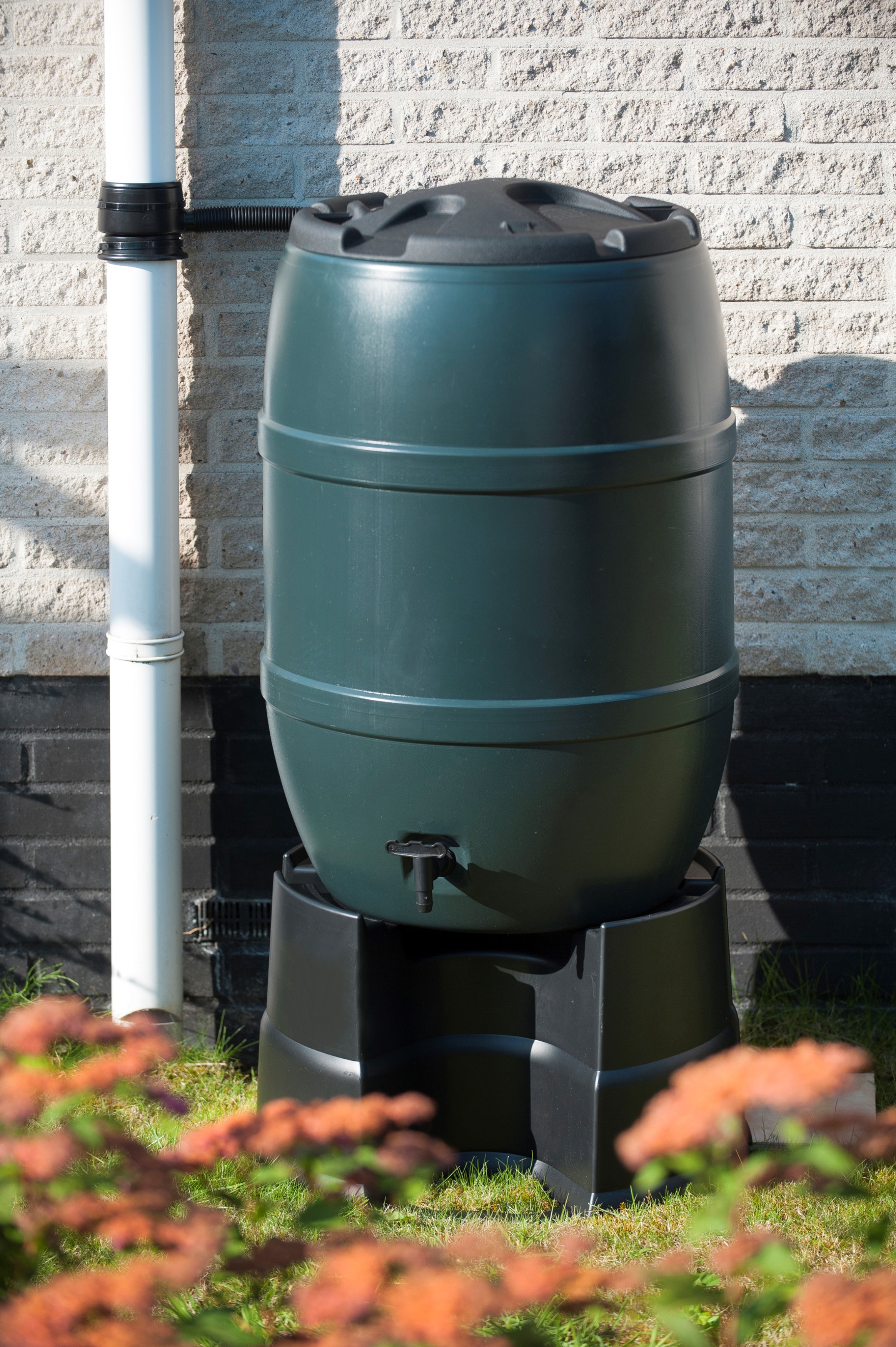 Regentonstandaard D53 H31.5 zwart