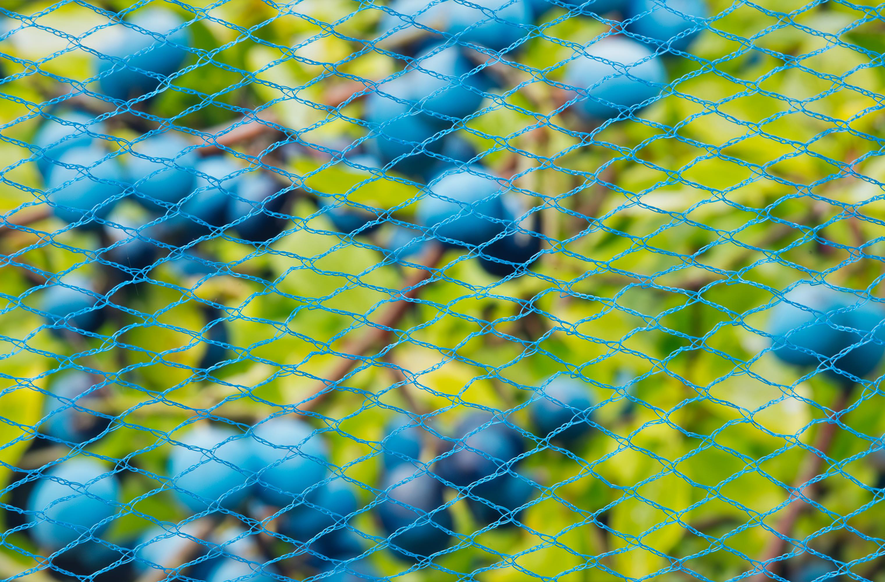 Tuinnet nano H4 B5m blauw