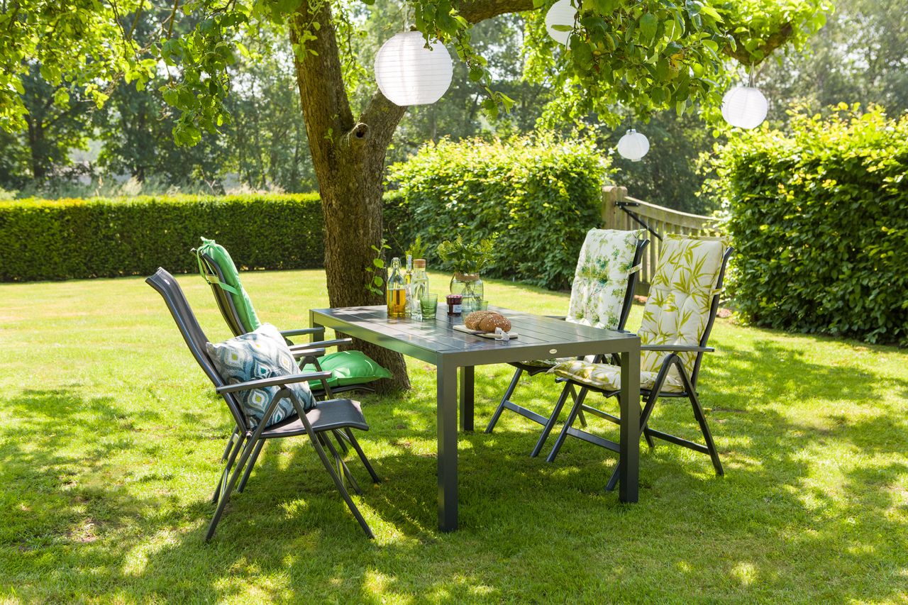 Alice Verstelbare Tuinstoel