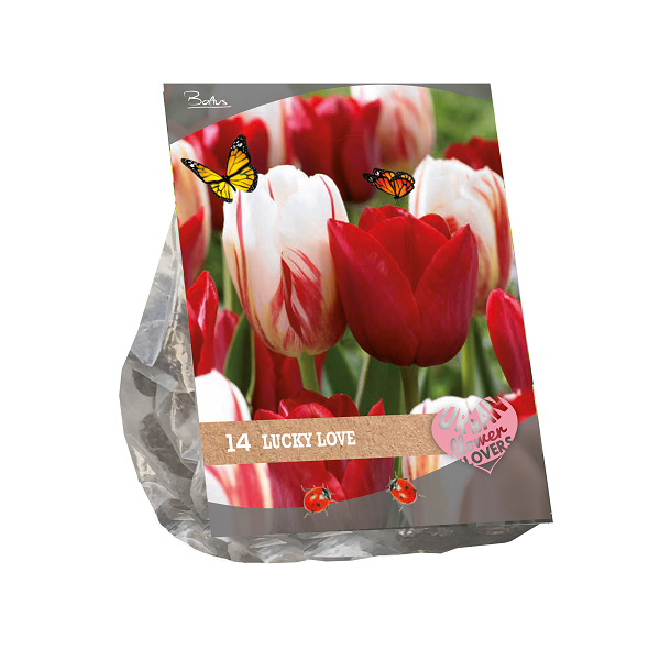 Urban Flowers - Lucky Love per 14