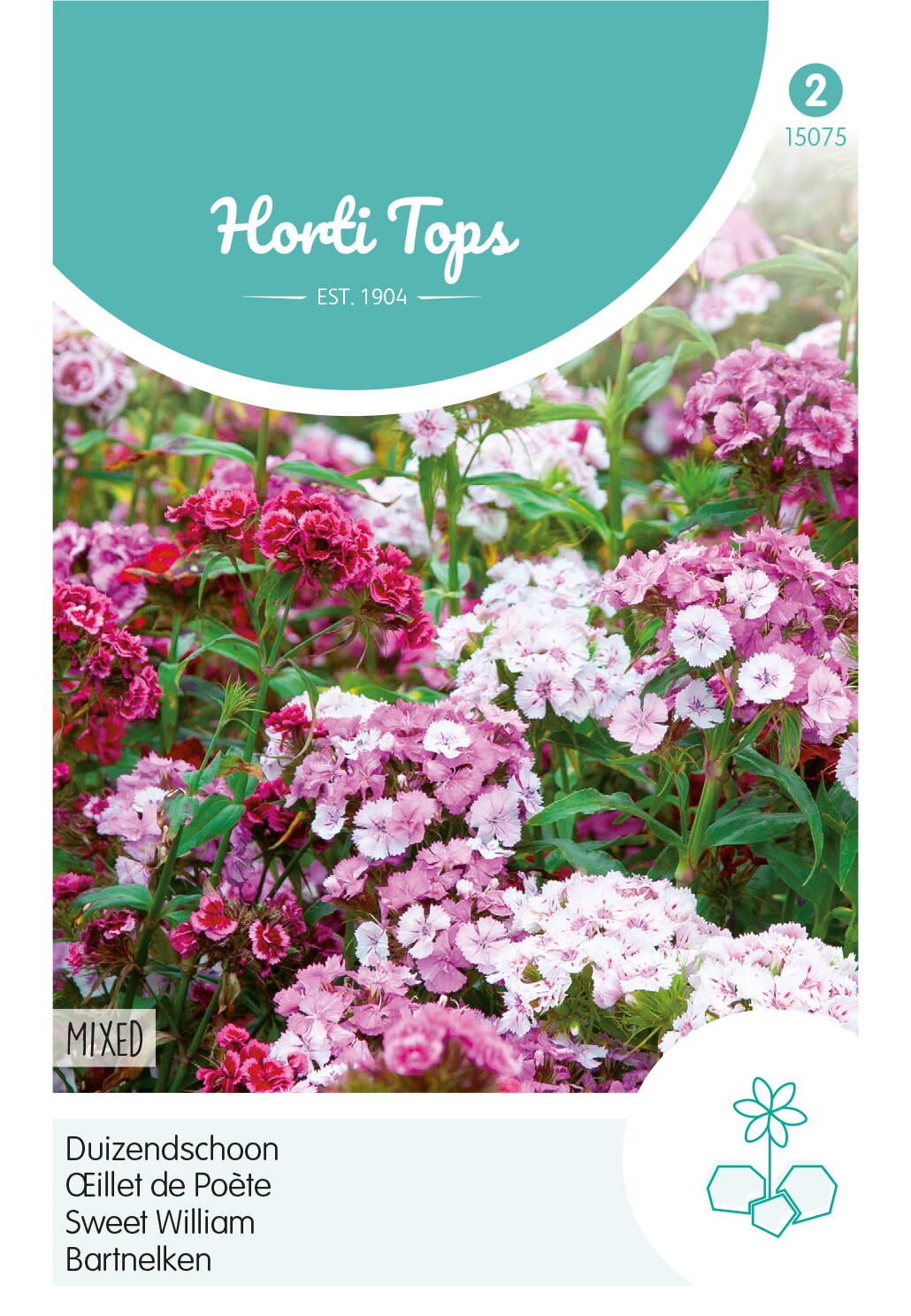 HT Dianthus, Duizendschoon laag gemengd