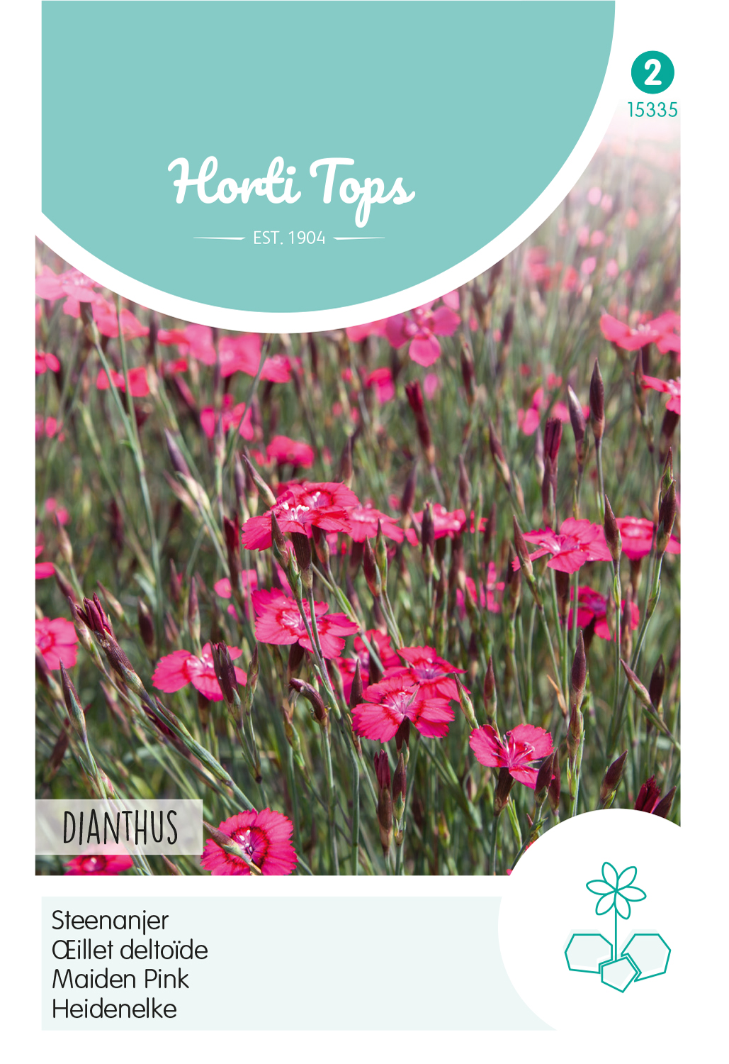 HT Dianthus, Steenanjer Karmijnrose