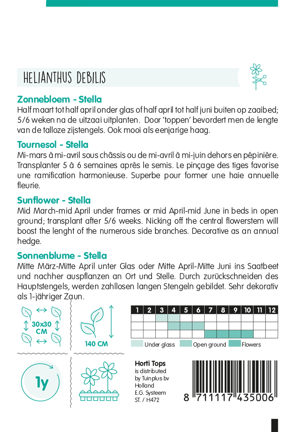 HT Helianthus, Zonnebloem Stella