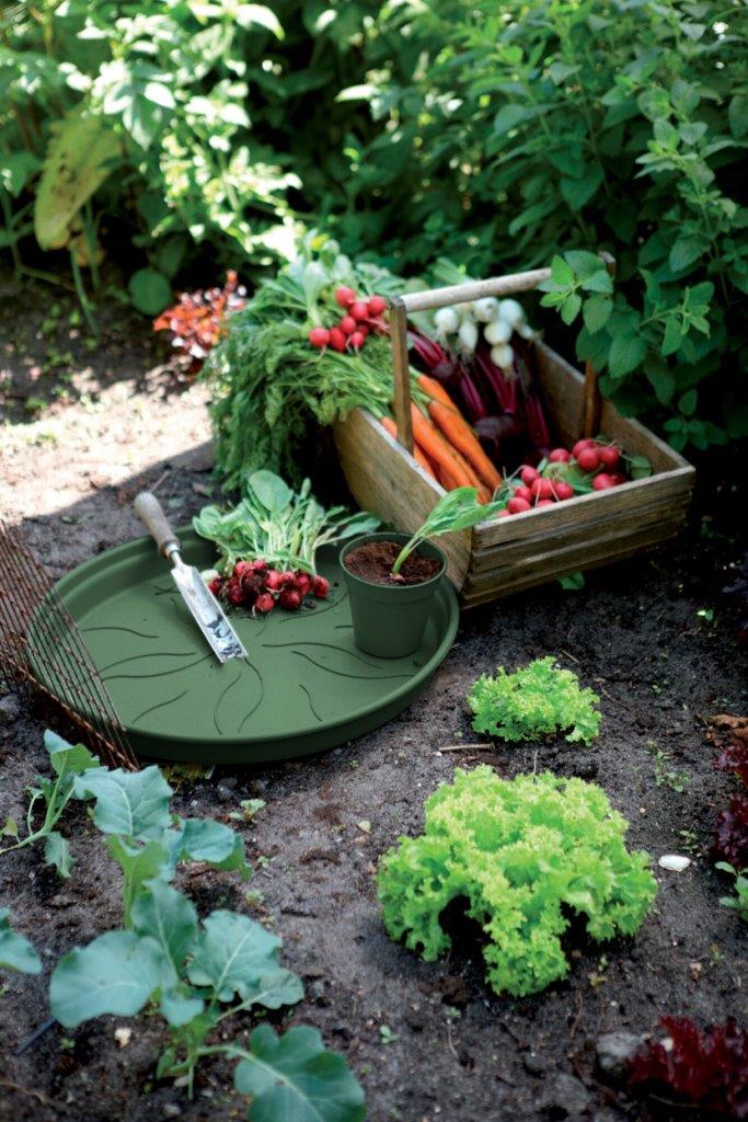 green basics schotel 10cm blad groen