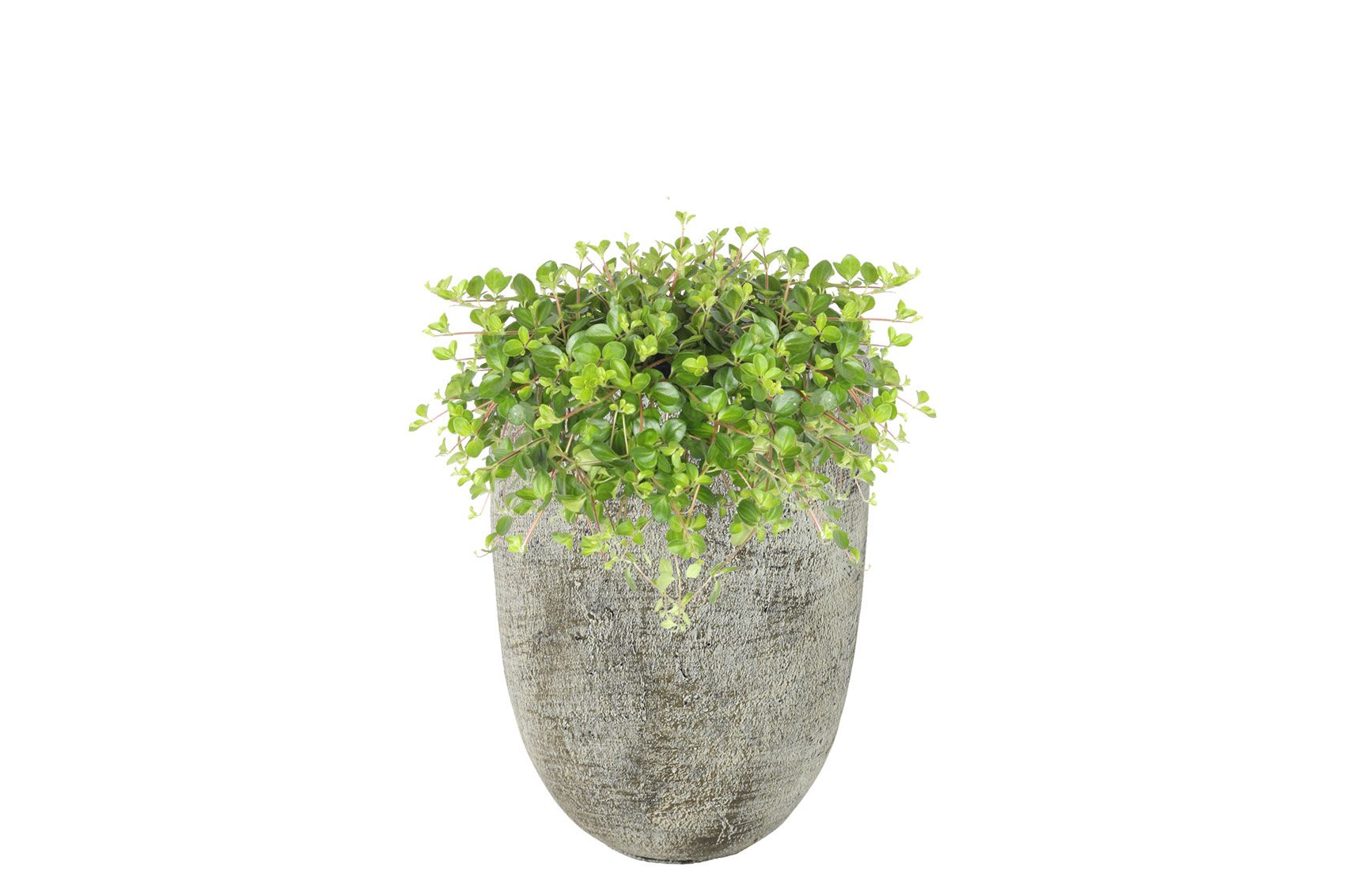 Pot hoog Anne white earth D19 H27