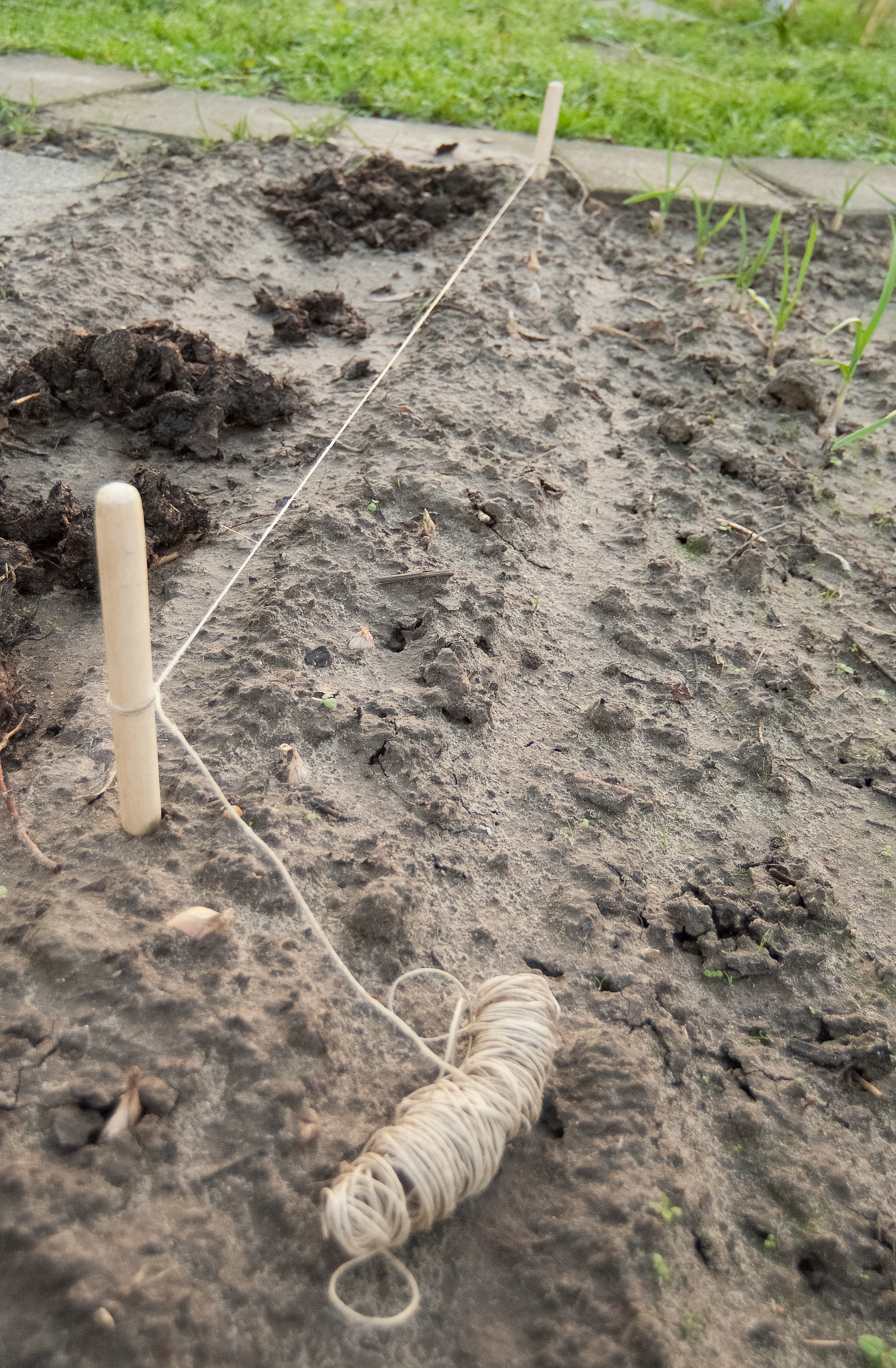 Pootlijnset touw L20m