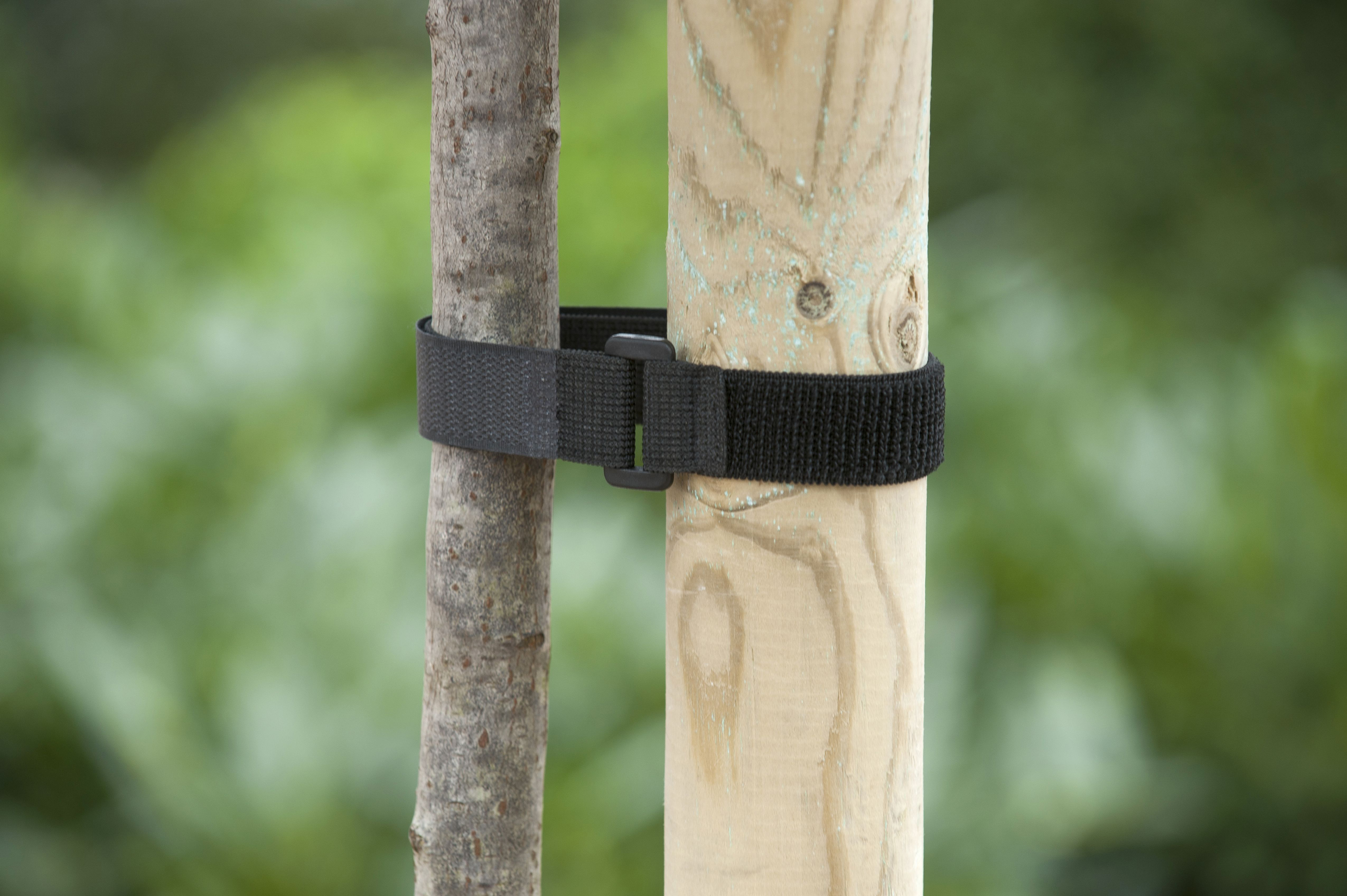 Klittenboomband met Gesp 2 stuks 40x2.5cm