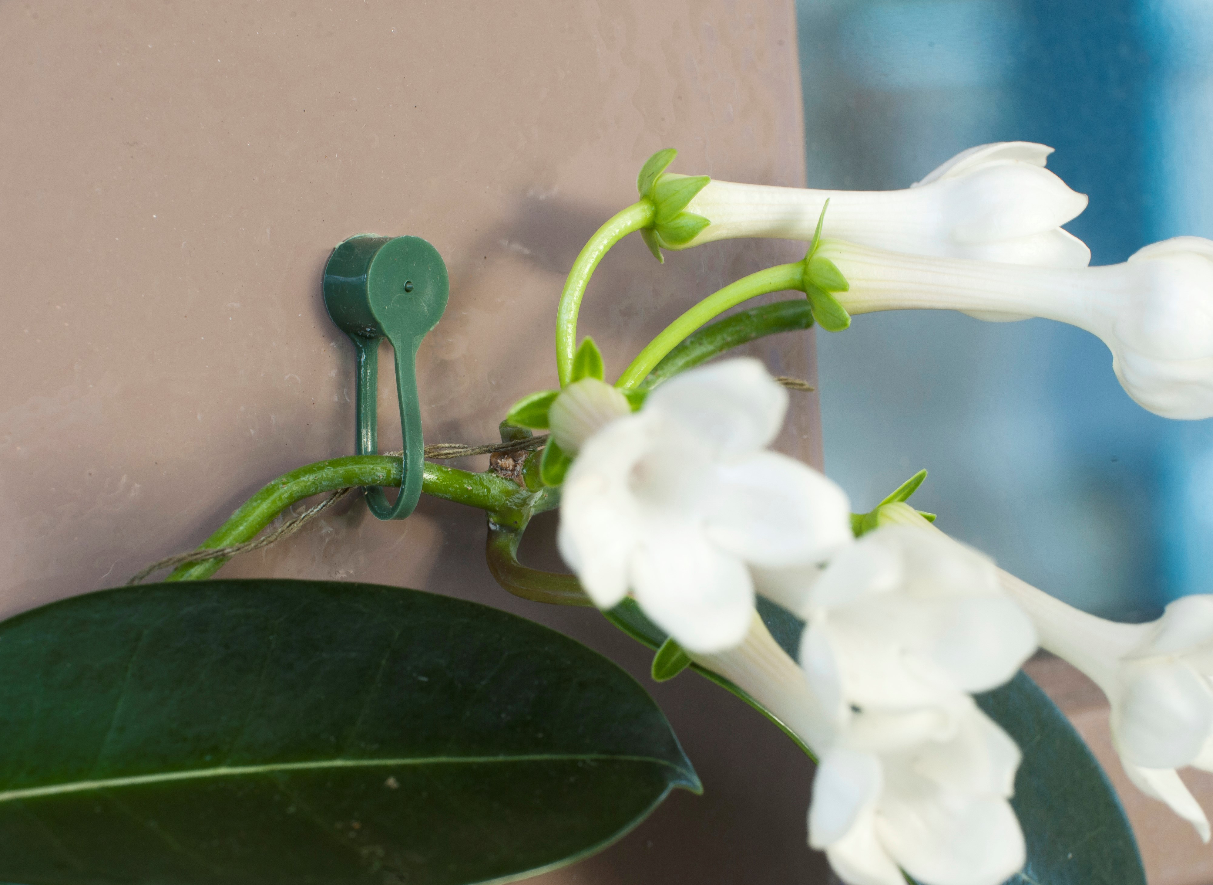 Plantenklemmen groen D15mm 15st