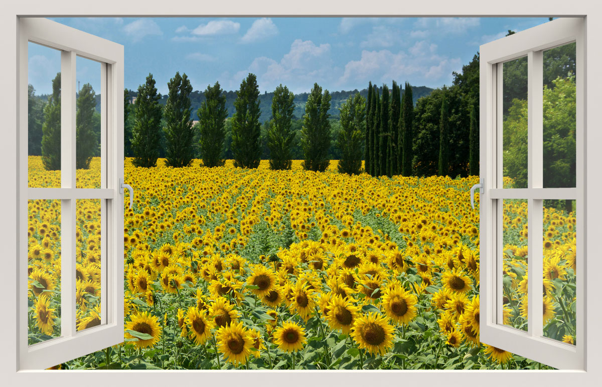 TD Zonnebloemen 90x140cm