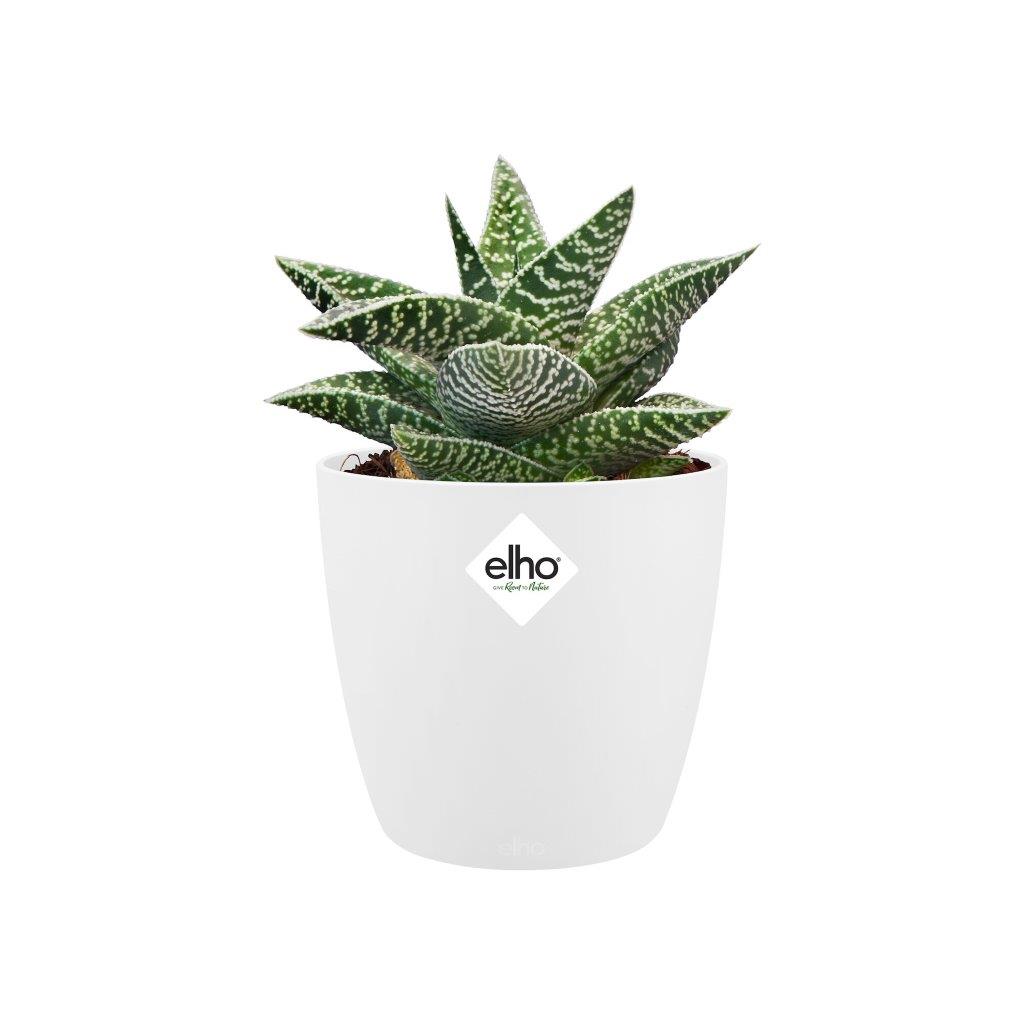 pot brussels d7cm wit
