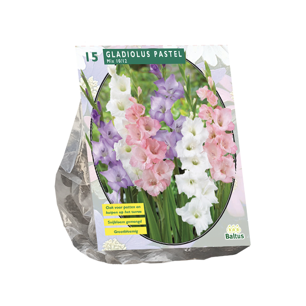 Gladiolus Pastel Mix per 15