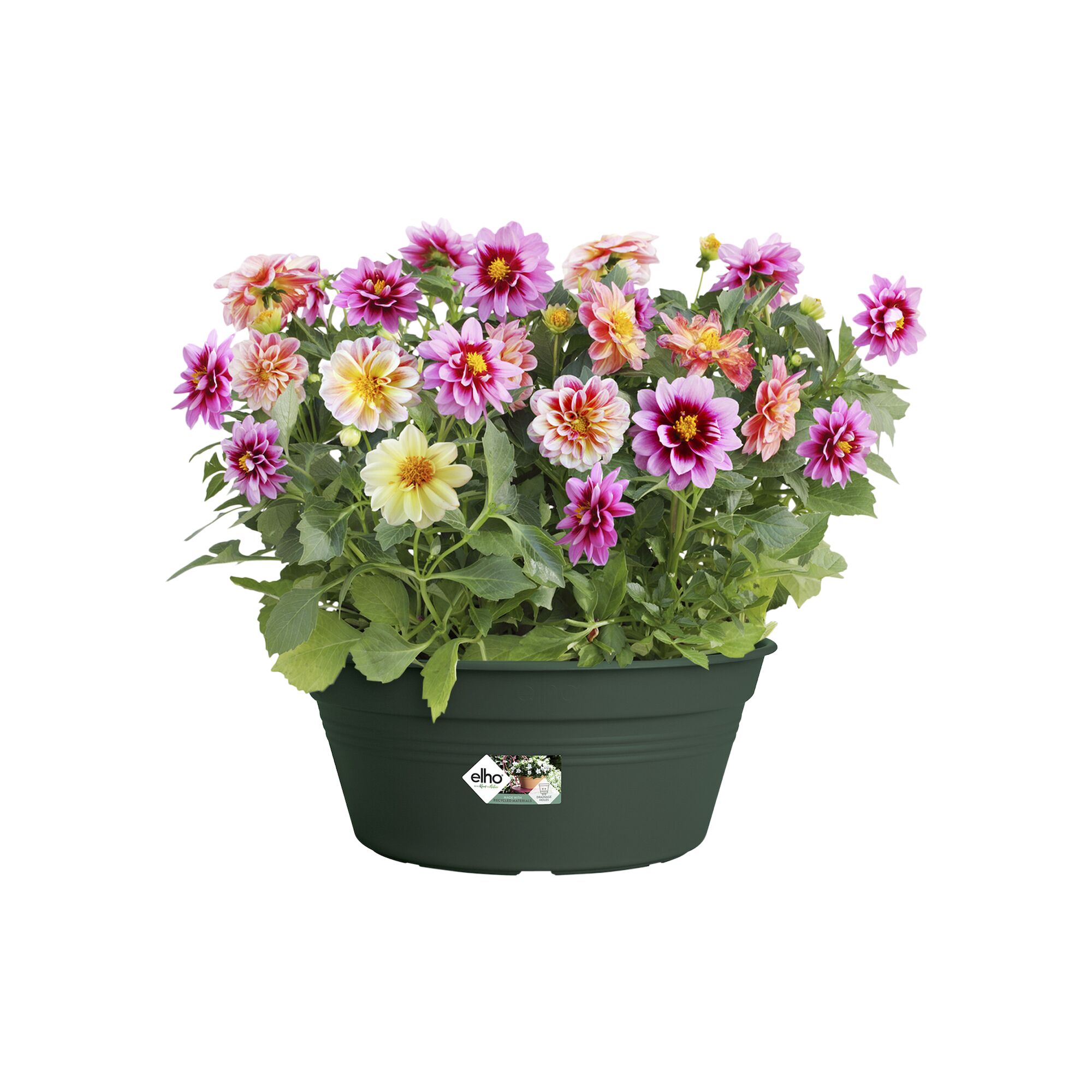 Green basics schaal 27cm Bladgroen
