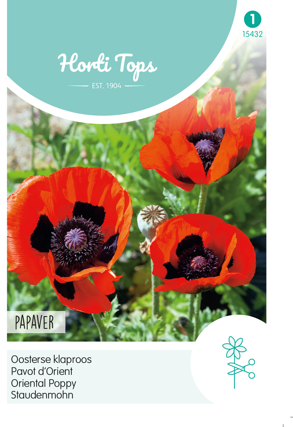 HT Papaver Orientale, Oosterse klaproos rood