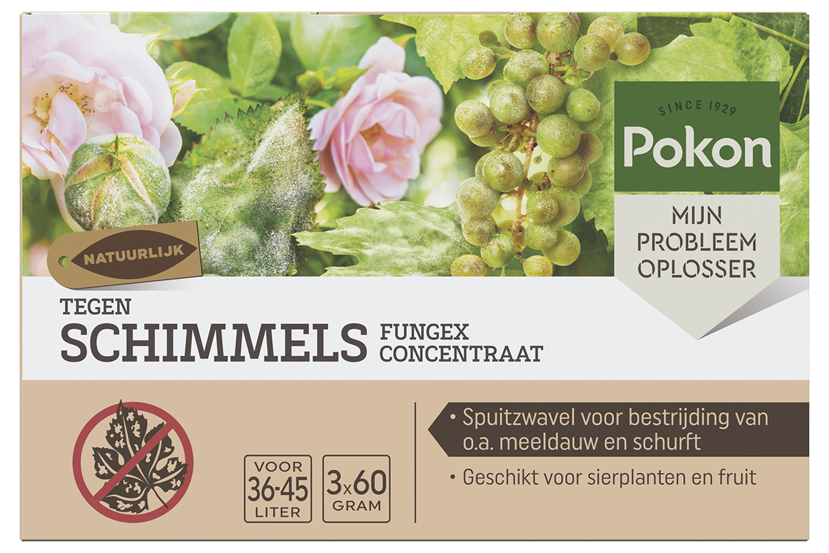 Pokon Tegen Schimmels 180gr (3x60gr spuitzwavel)