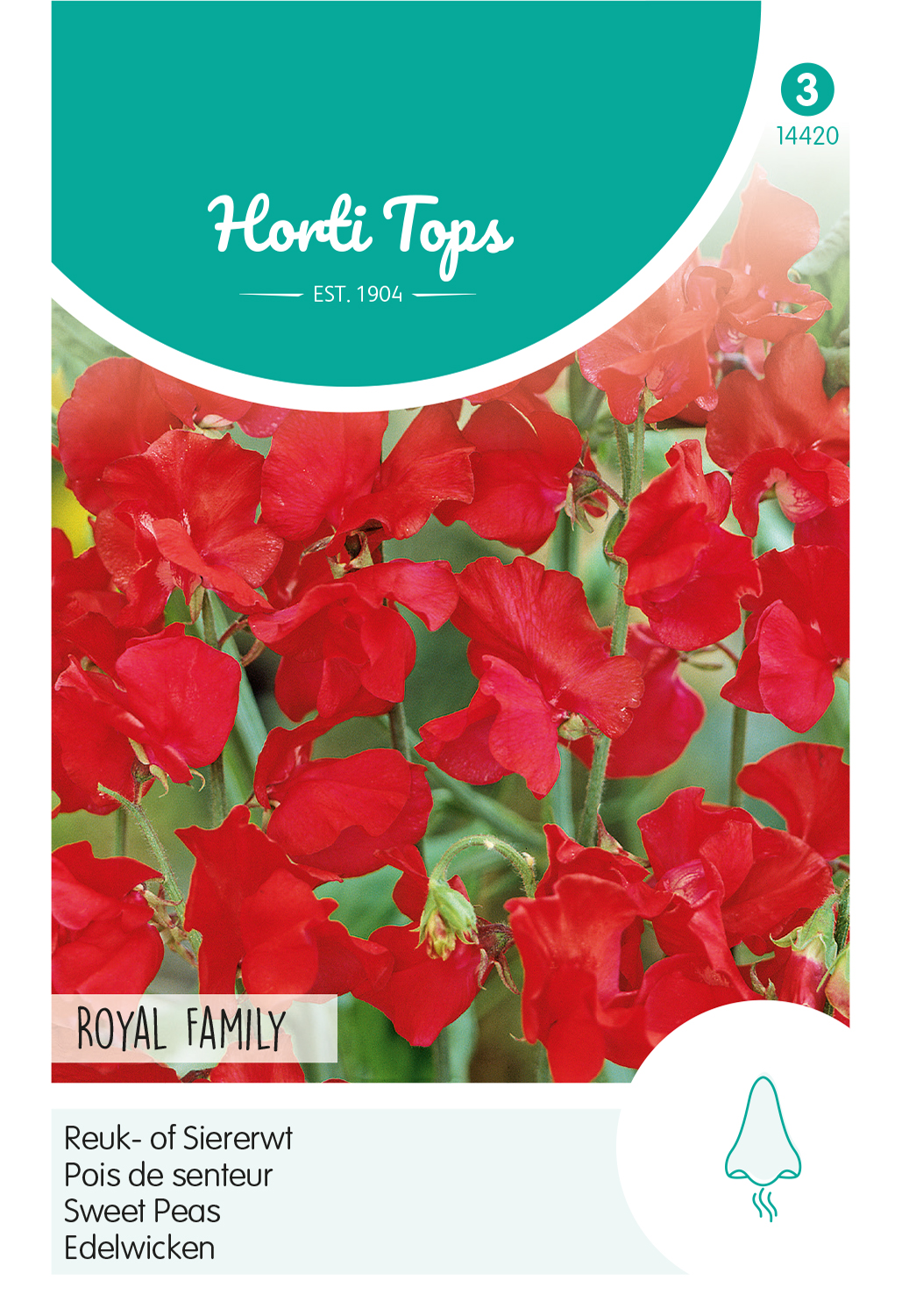 HT Lathyrus, Reuk- of Siererwt Royal Family Rood